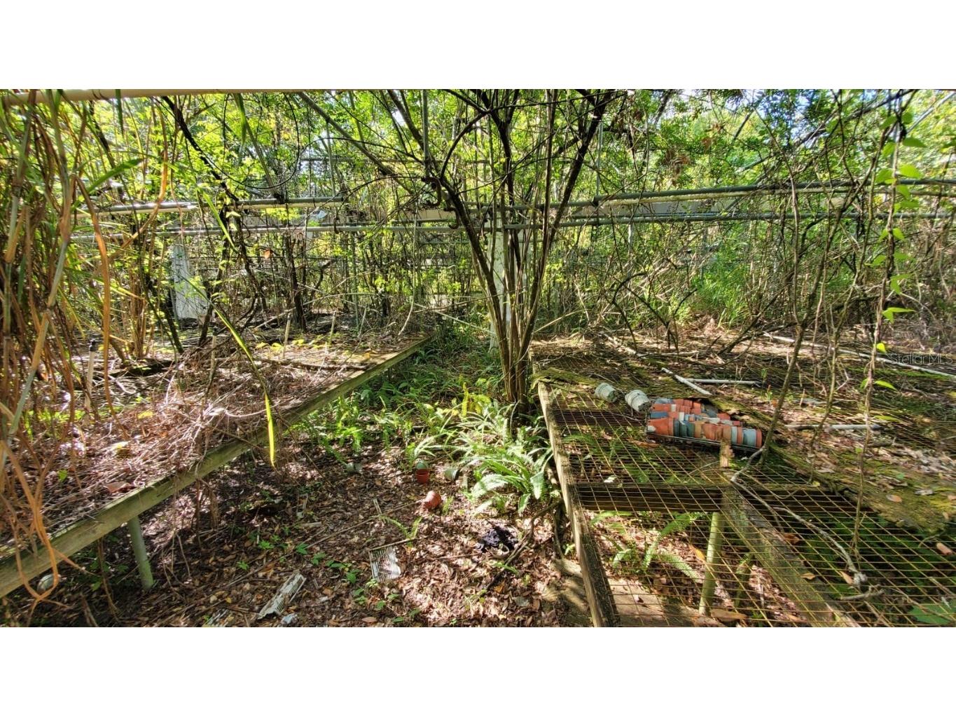 200 W English Street Plant City FL 33563 TB8415785 image13