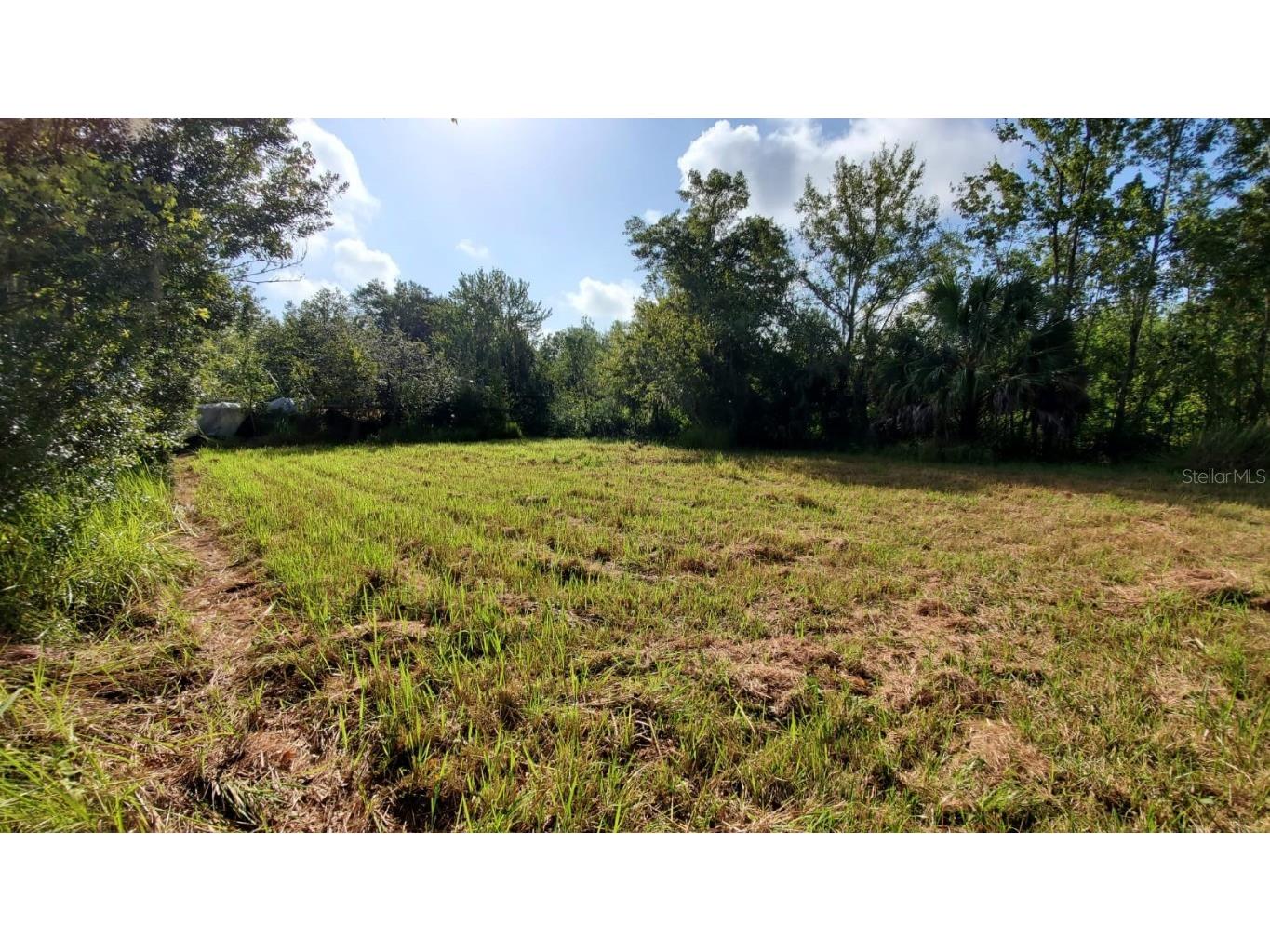 200 W English Street Plant City FL 33563 TB8415785 image15