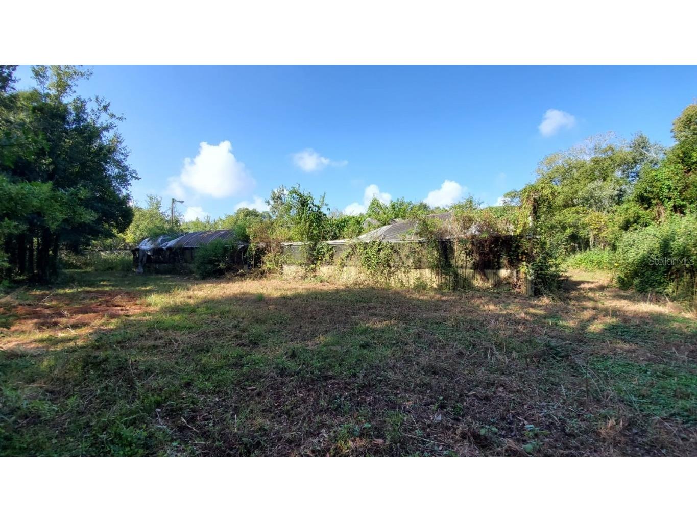 200 W English Street Plant City FL 33563 TB8415785 image17