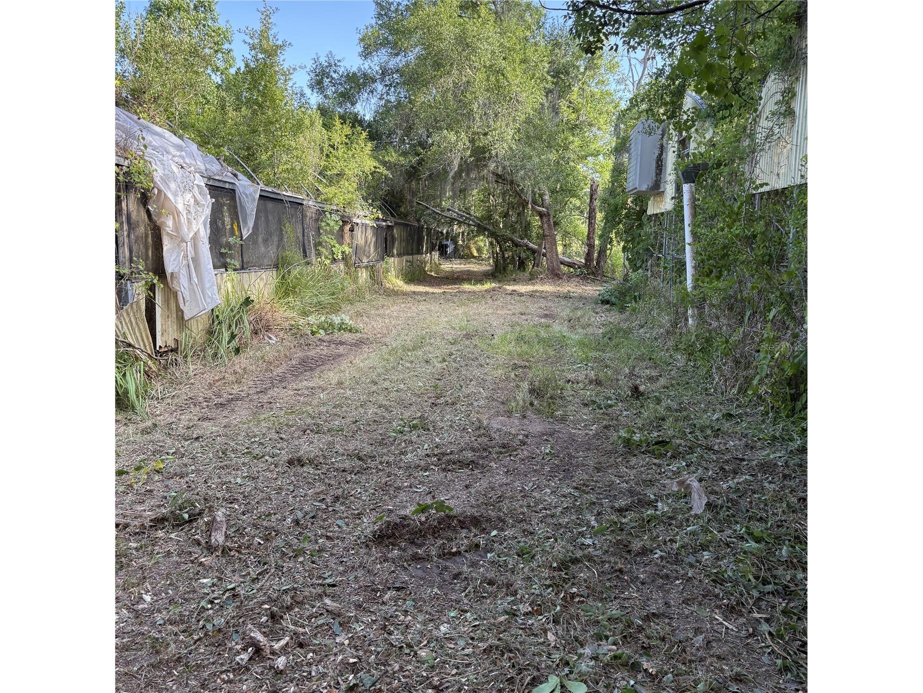 200 W English Street Plant City FL 33563 TB8415785 image24