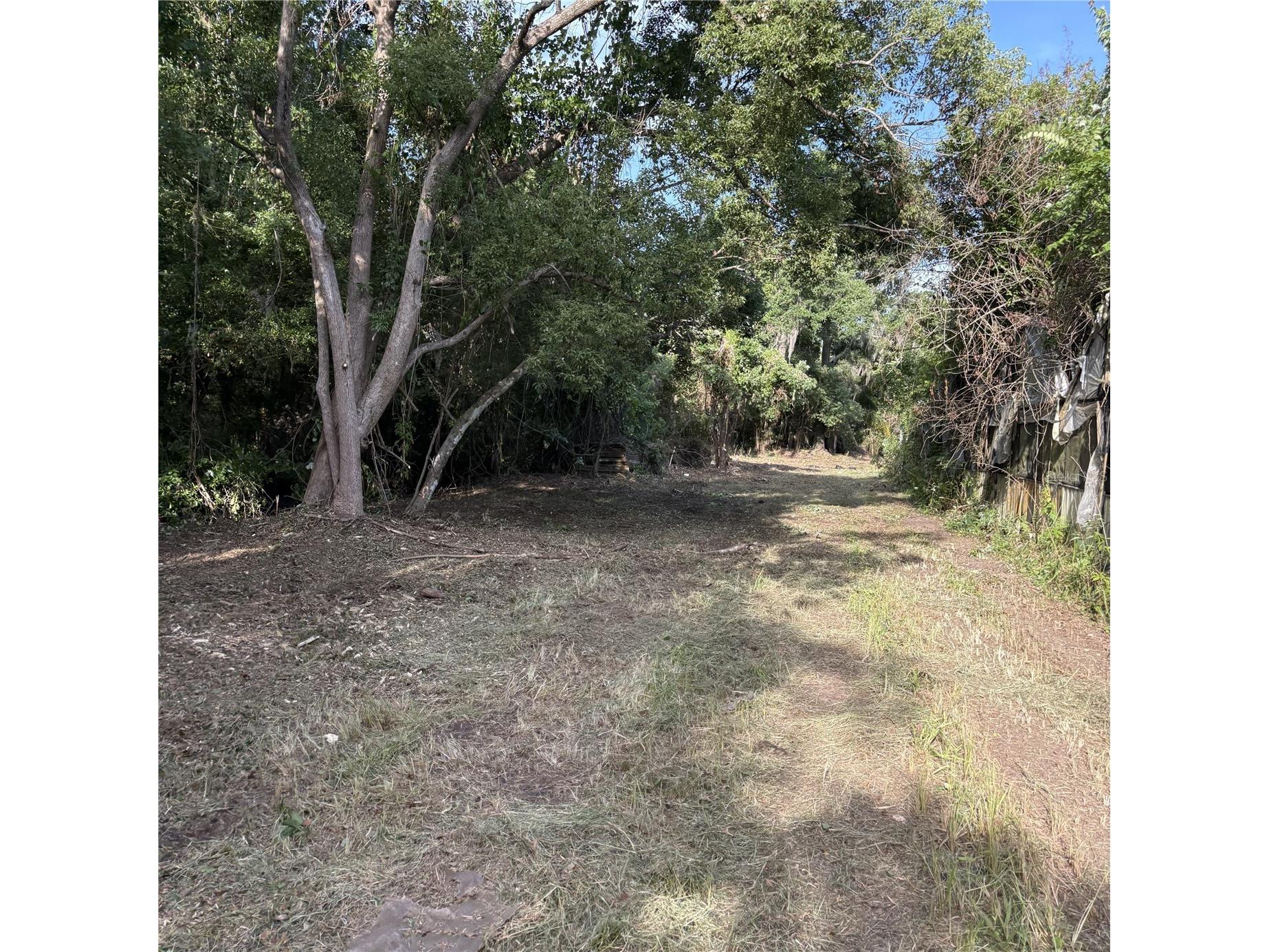 200 W English Street Plant City FL 33563 TB8415785 image26