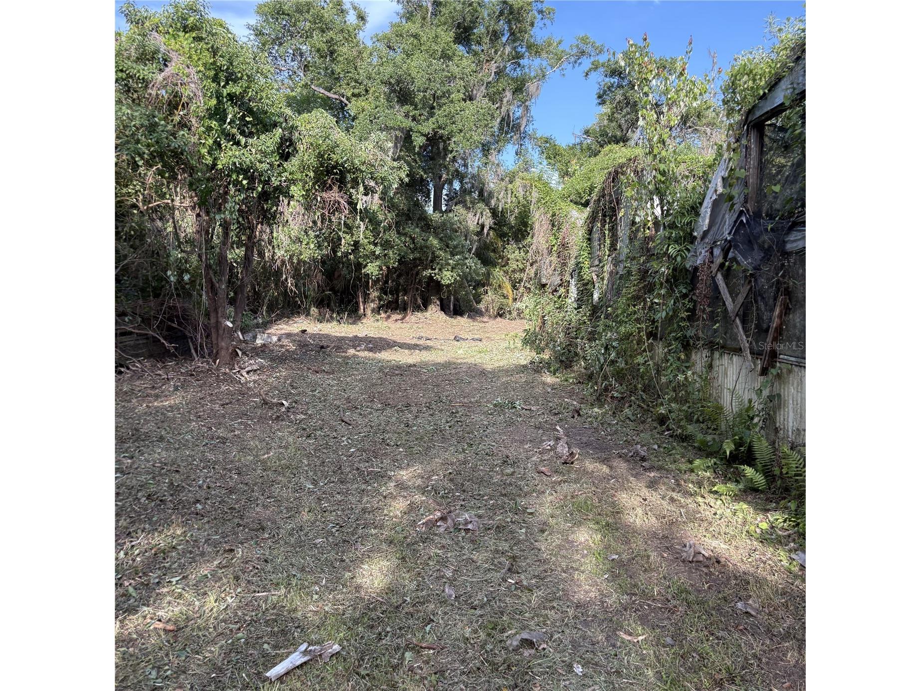 200 W English Street Plant City FL 33563 TB8415785 image27