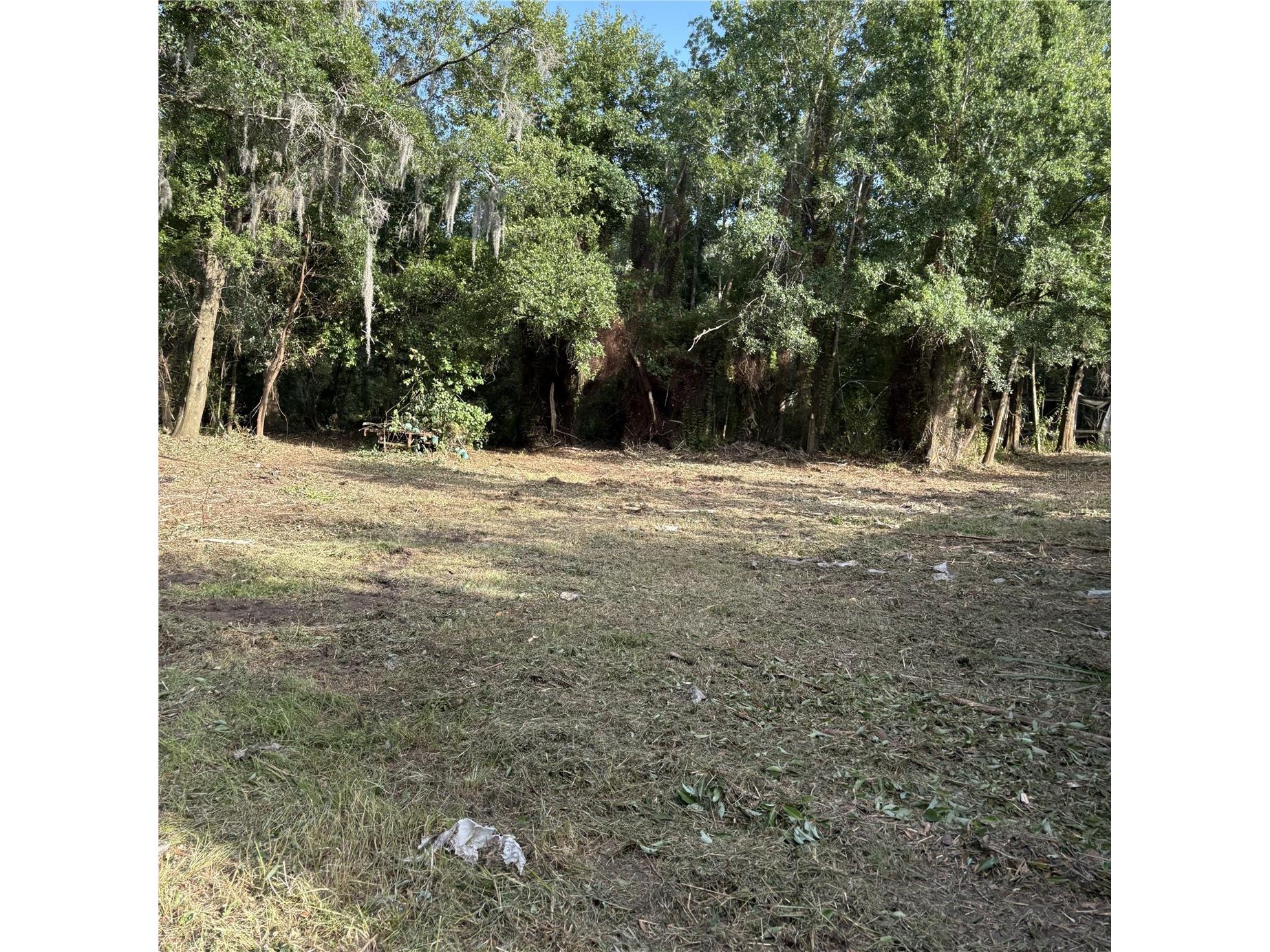 200 W English Street Plant City FL 33563 TB8415785 image28