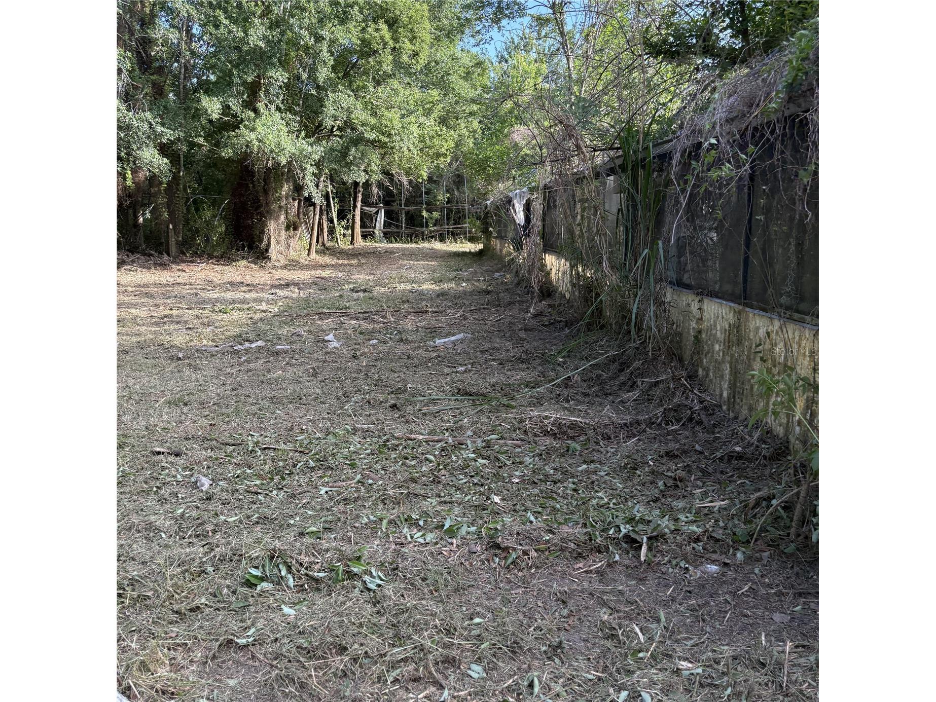 200 W English Street Plant City FL 33563 TB8415785 image29