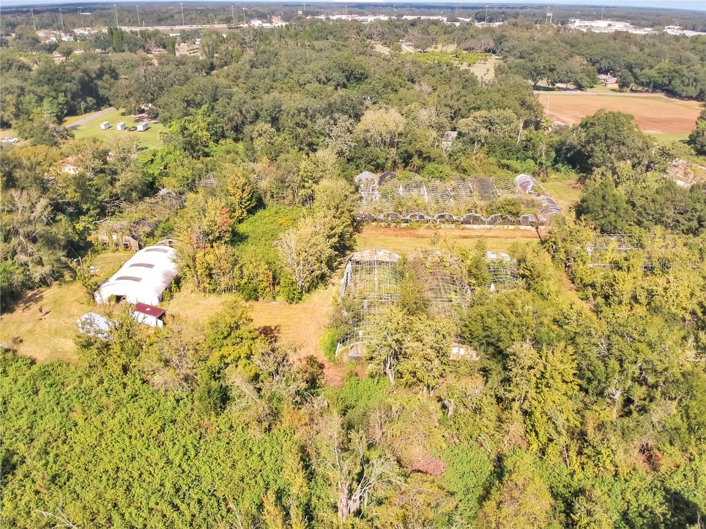 200 W English Street Plant City FL 33563 TB8415785 image7