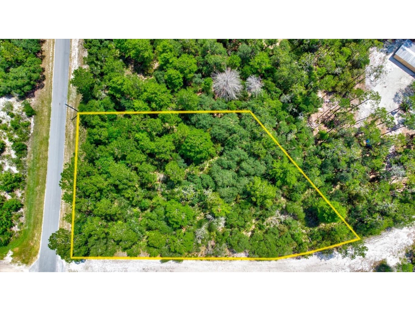 200 Whispering Pines Georgetown FL 32139 O6123129 image1