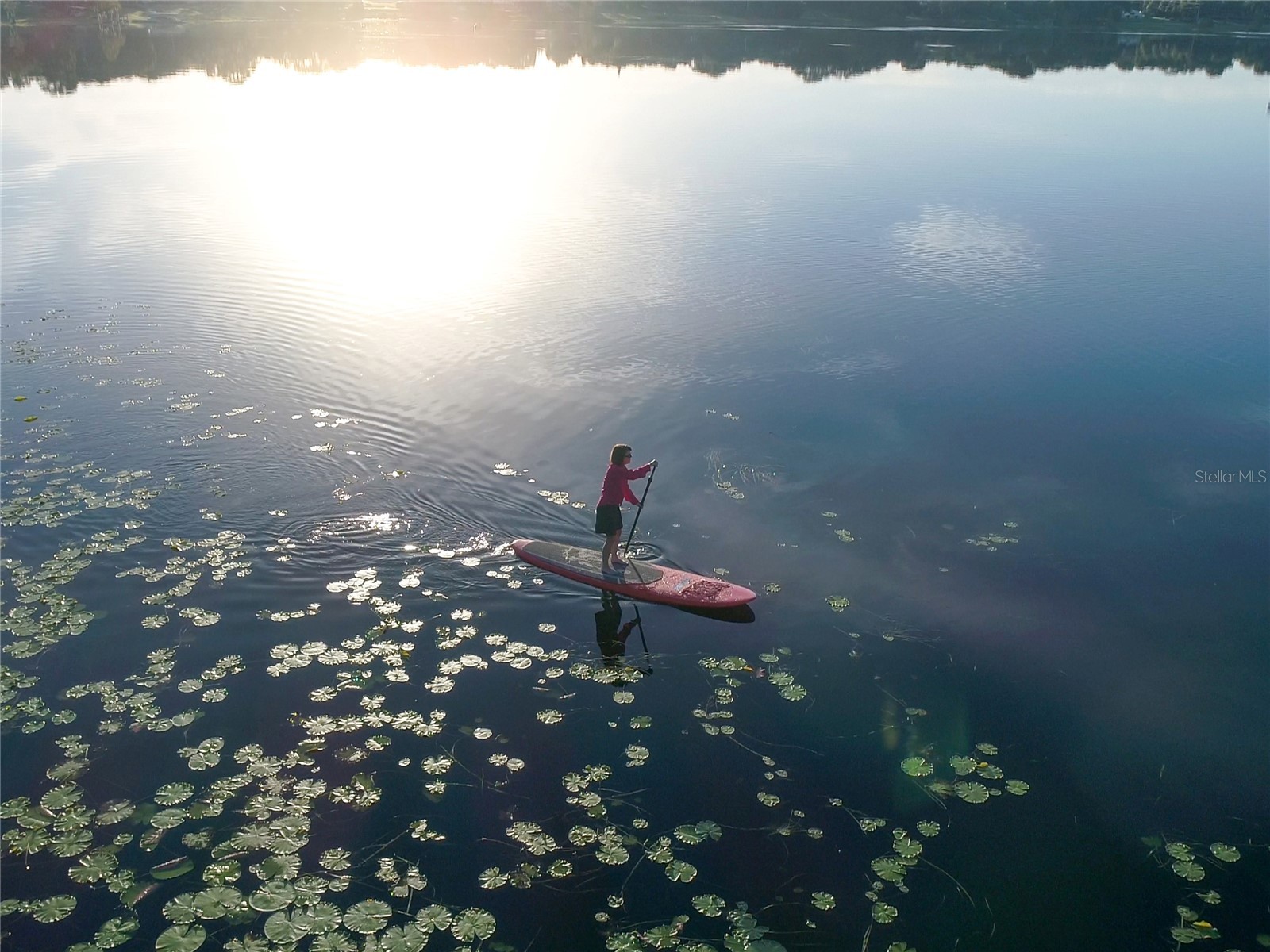 2000 15th Court NW #11 Winter Haven FL 33881 S5137935 image16