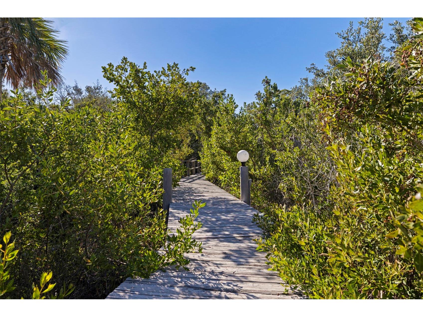 2000 Bayview Drive Tierra Verde FL 33715 TB8444567 image76