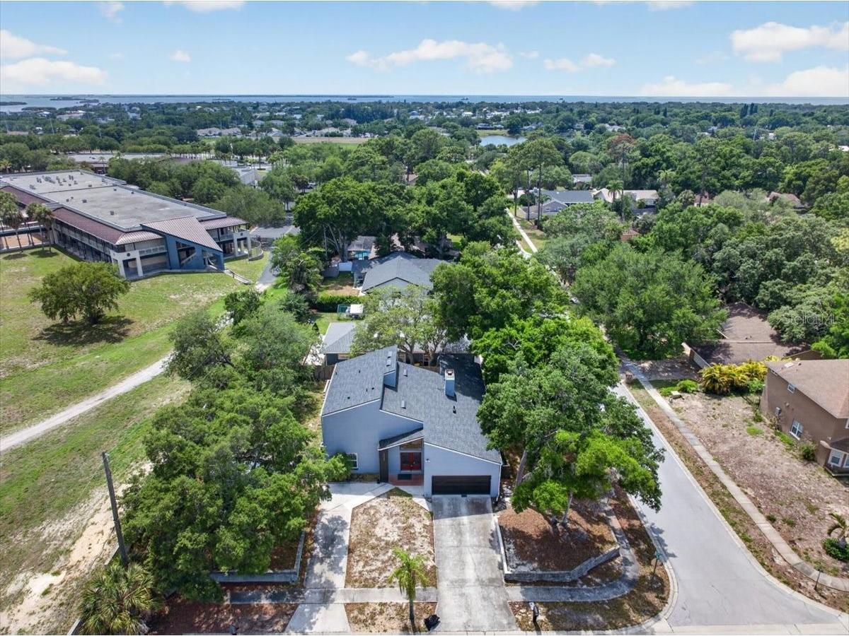 2000 Brent Place Palm Harbor FL 34683 TB8512078 image64