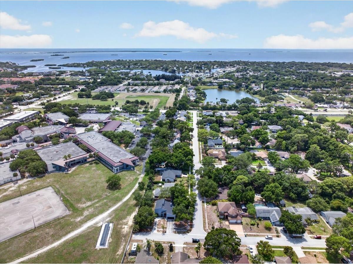 2000 Brent Place Palm Harbor FL 34683 TB8512078 image65