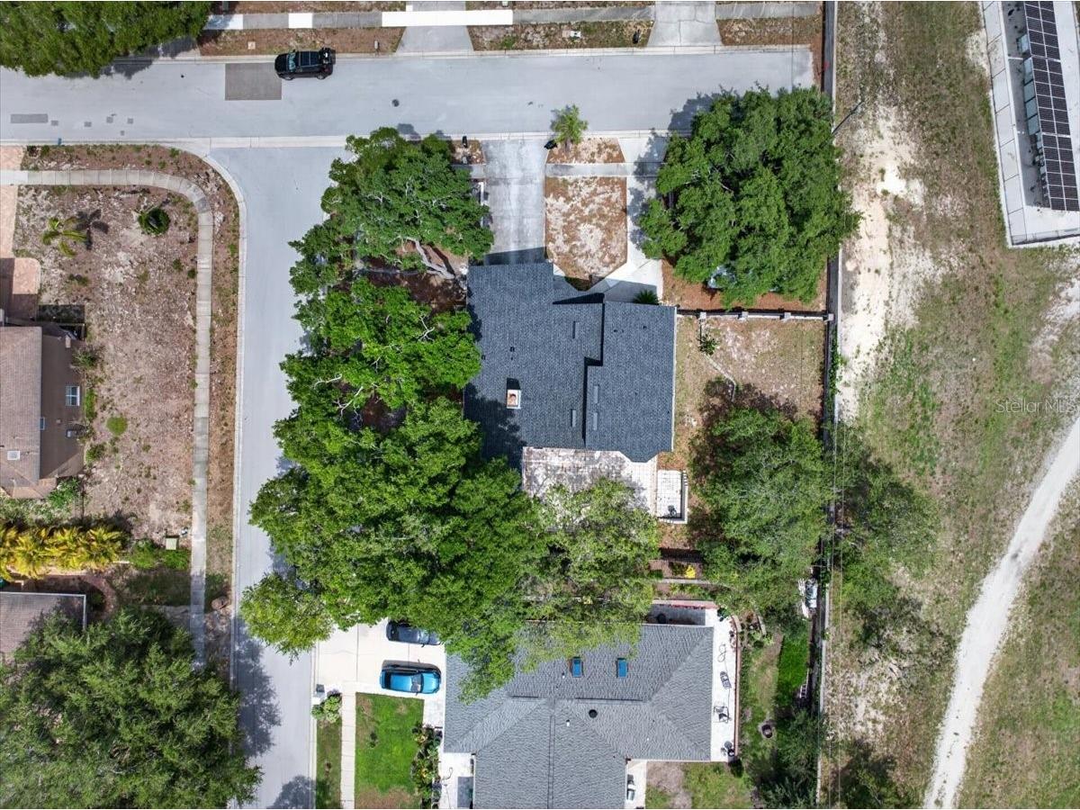 2000 Brent Place Palm Harbor FL 34683 TB8512078 image66