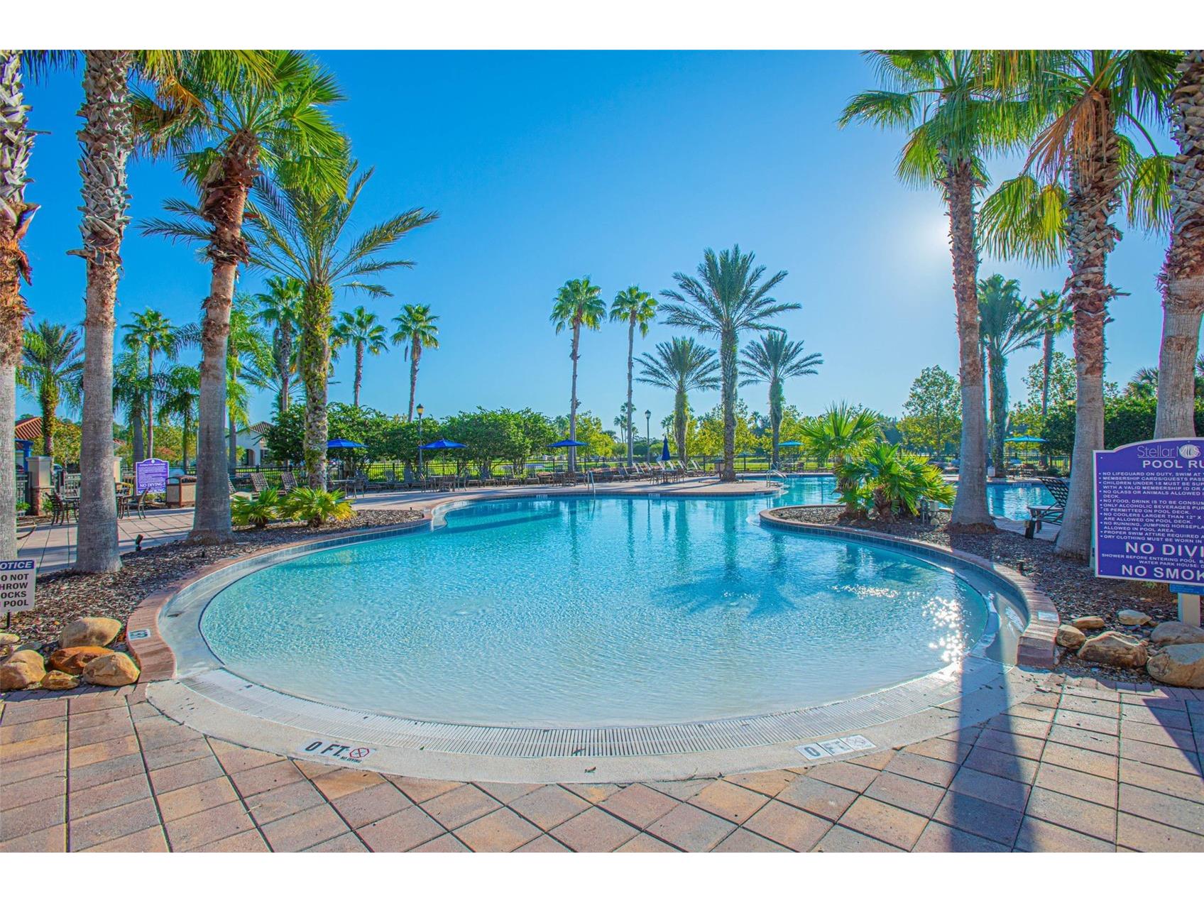 2000 Goblet Cove Street Kissimmee FL 34746 S5147557 image2