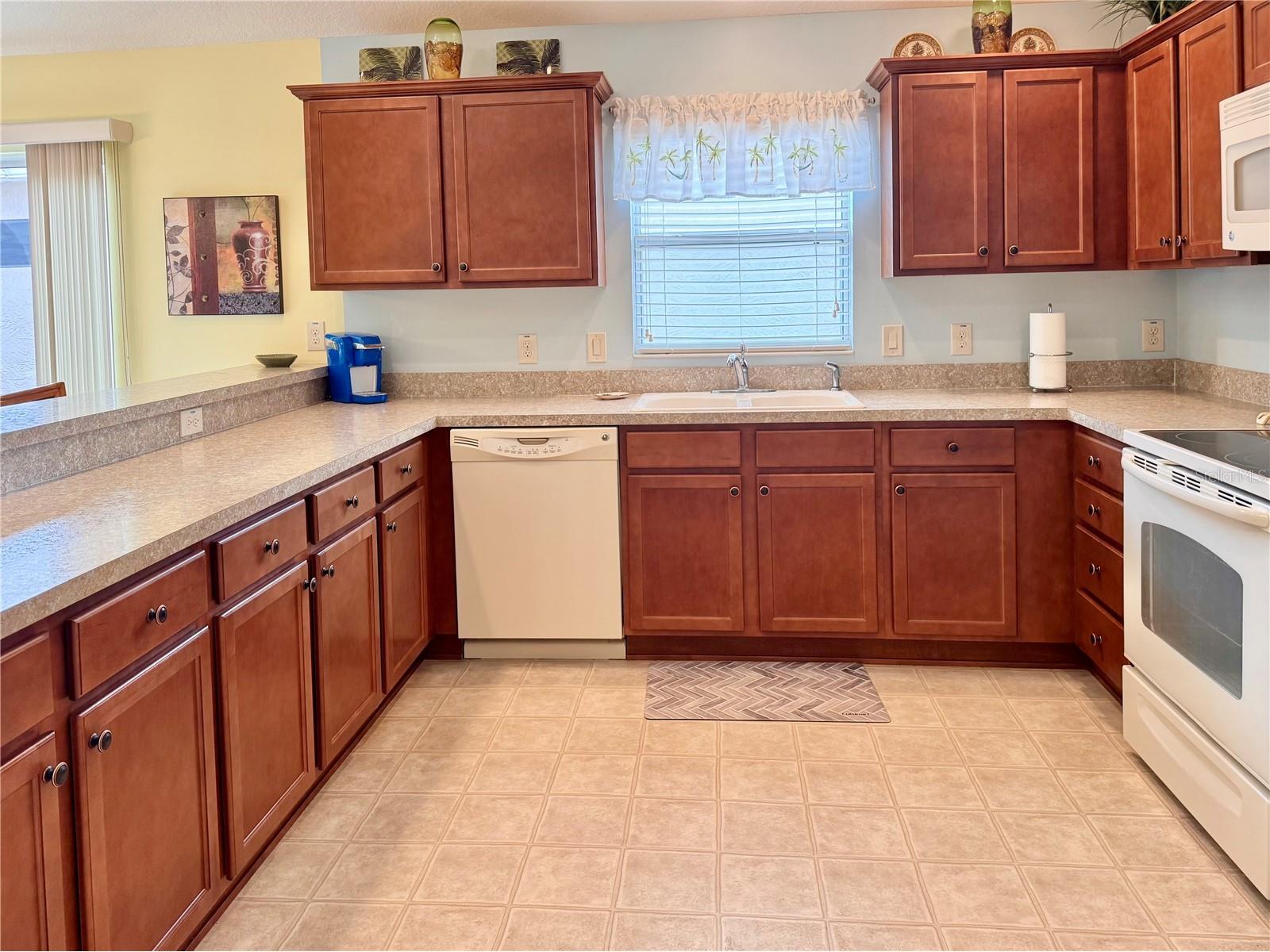 2000 Goldenrod Court The Villages FL 32162 G5108940 image4