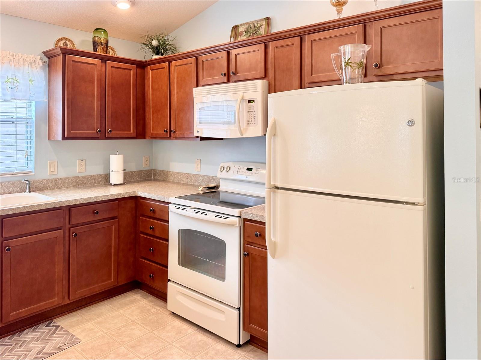 2000 Goldenrod Court The Villages FL 32162 G5108940 image5