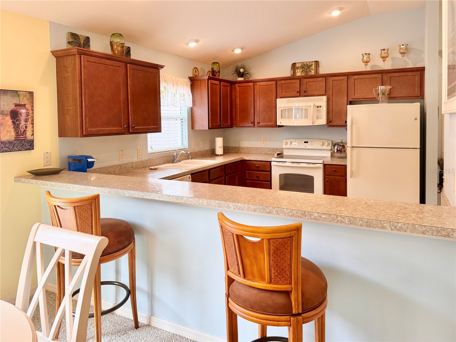 2000 Goldenrod Court The Villages FL 32162 G5108940 image7