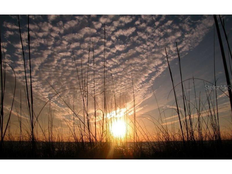2000 Harbourside Drive #1501 Longboat Key FL 34228 A4697798 image38