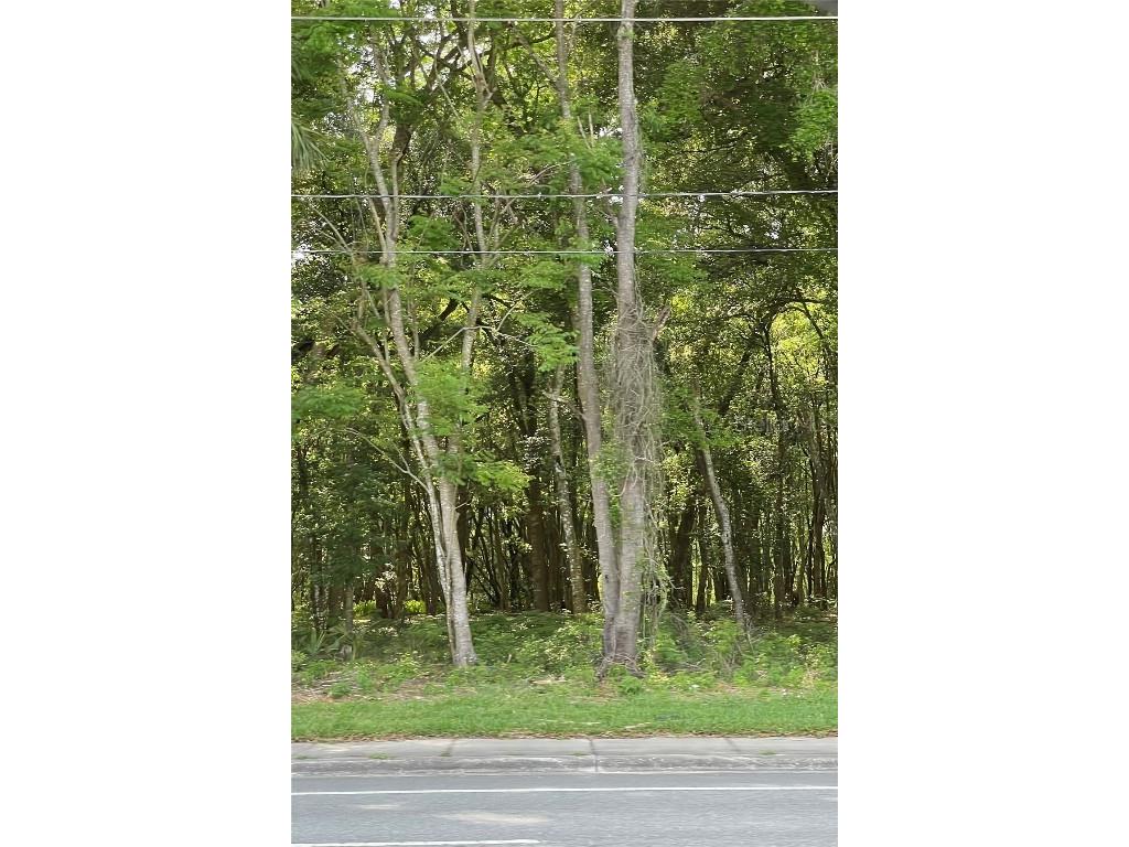 2000 N Woodland Boulevard Deland FL 32720 V4923770 image1