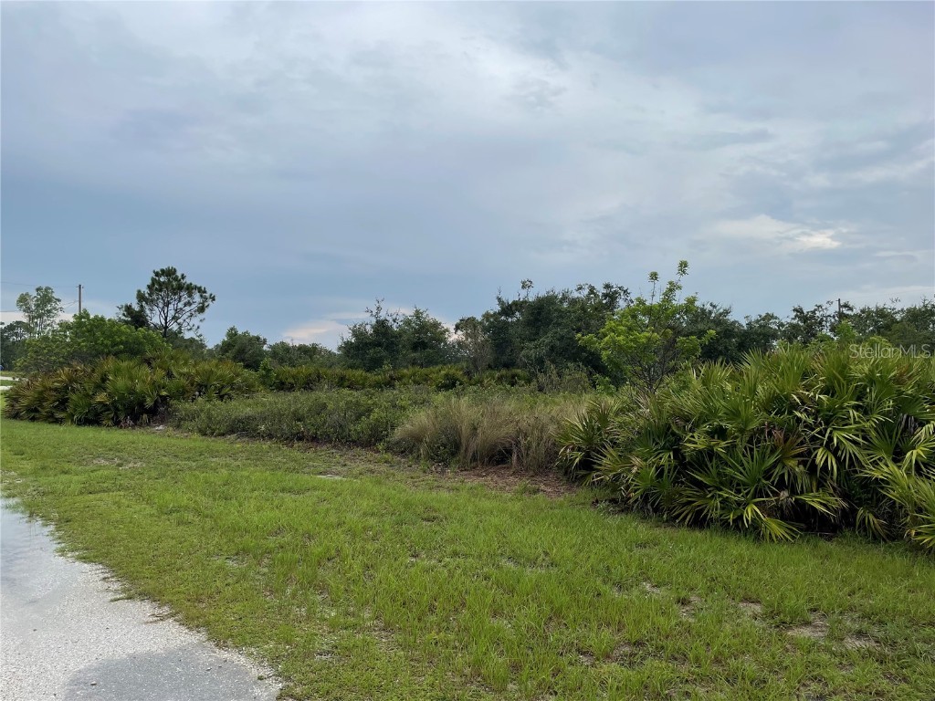 2000 W Bermuda Road Avon Park FL 33825 C7478185 image1