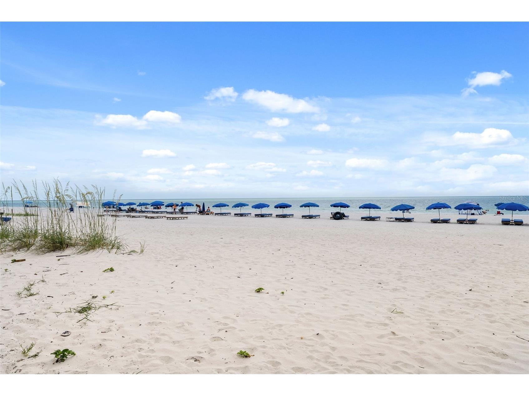20002 Gulf Boulevard #2 Indian Shores FL 33785 TB8518684 image33