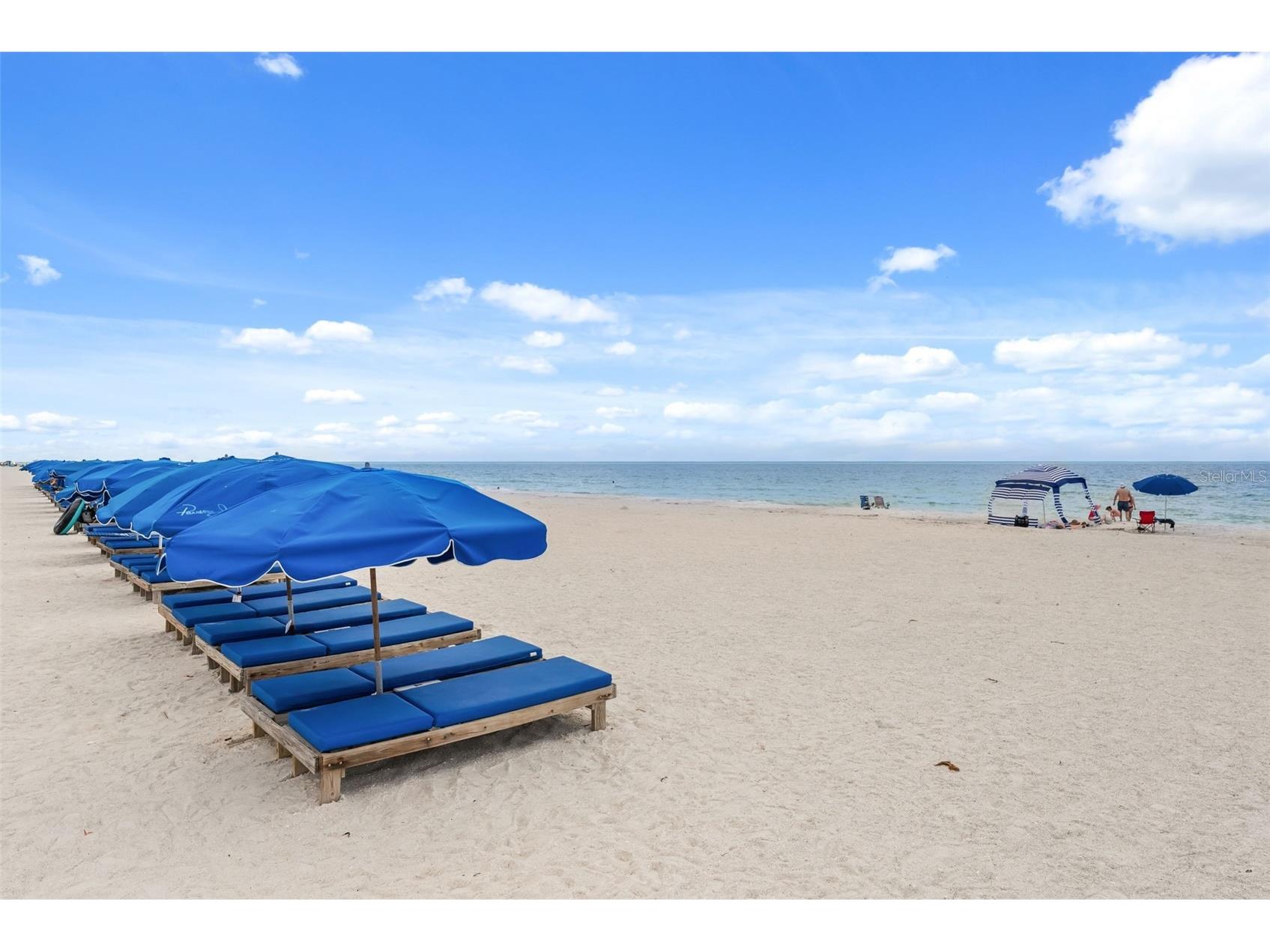 20002 Gulf Boulevard #2 Indian Shores FL 33785 TB8518684 image35