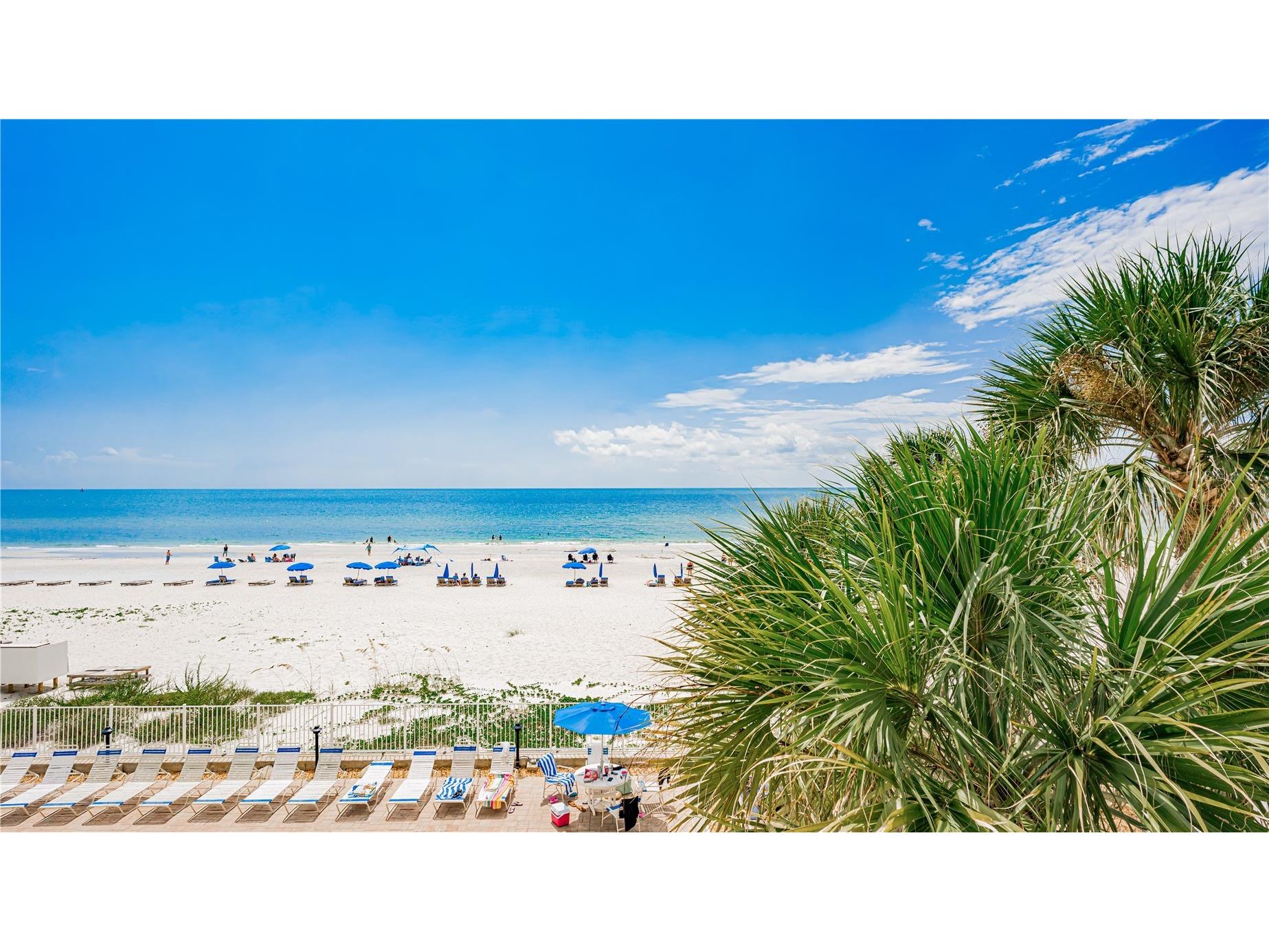 20002 Gulf Boulevard #2305 Indian Shores FL 33785 TB8484530 image27