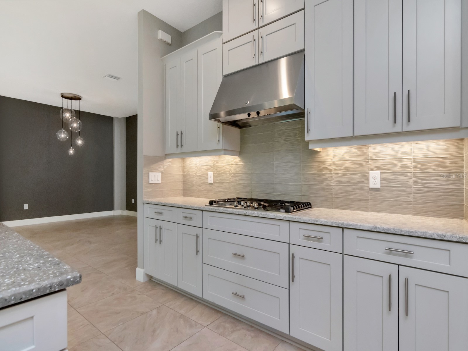 20003 Umbria Hill Drive Tampa FL 33647 TB8488617 image20