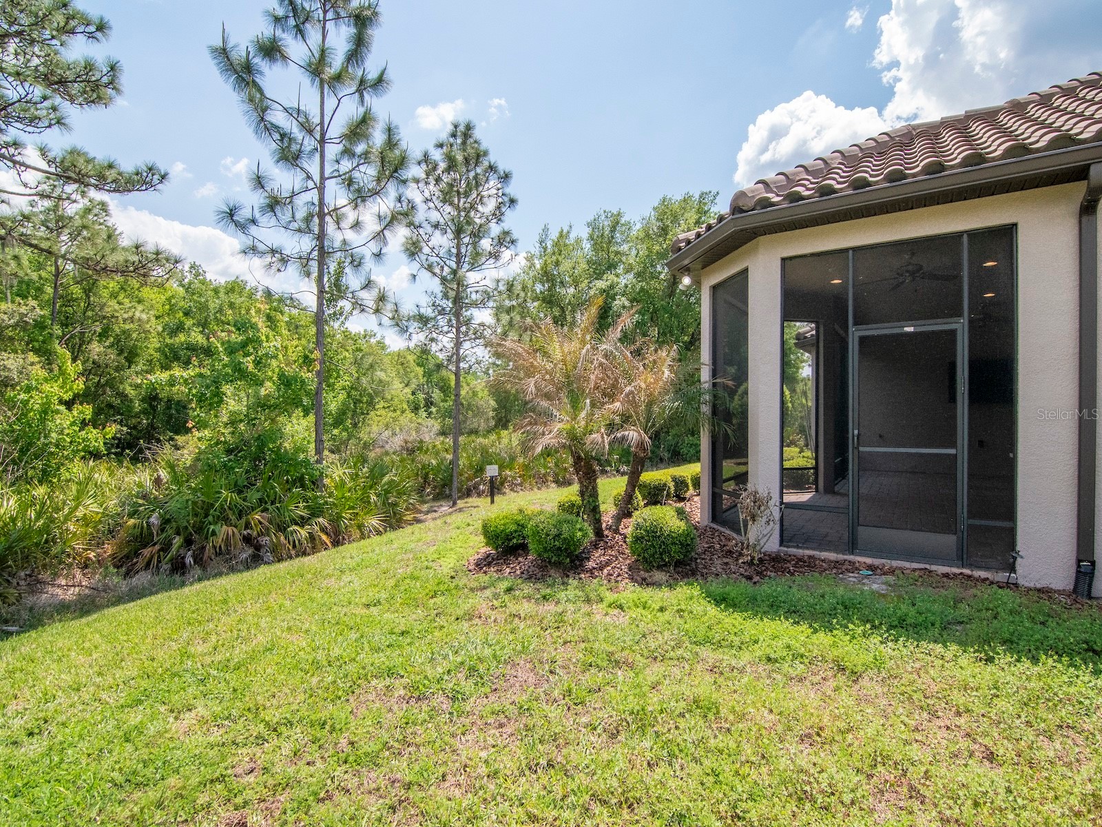 20003 Umbria Hill Drive Tampa FL 33647 TB8488617 image40