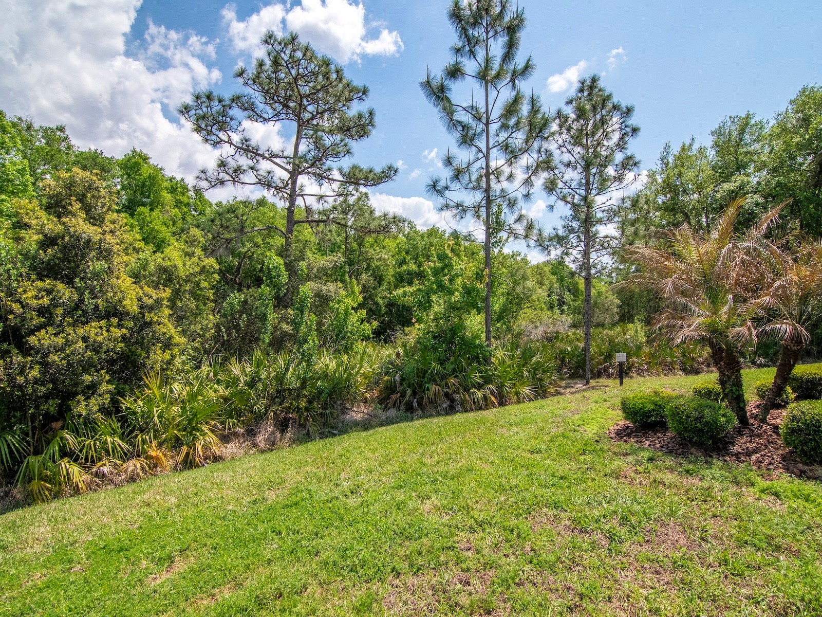 20003 Umbria Hill Drive Tampa FL 33647 TB8488617 image41