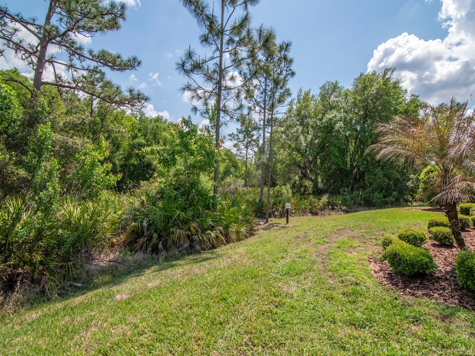 20003 Umbria Hill Drive Tampa FL 33647 TB8488617 image42
