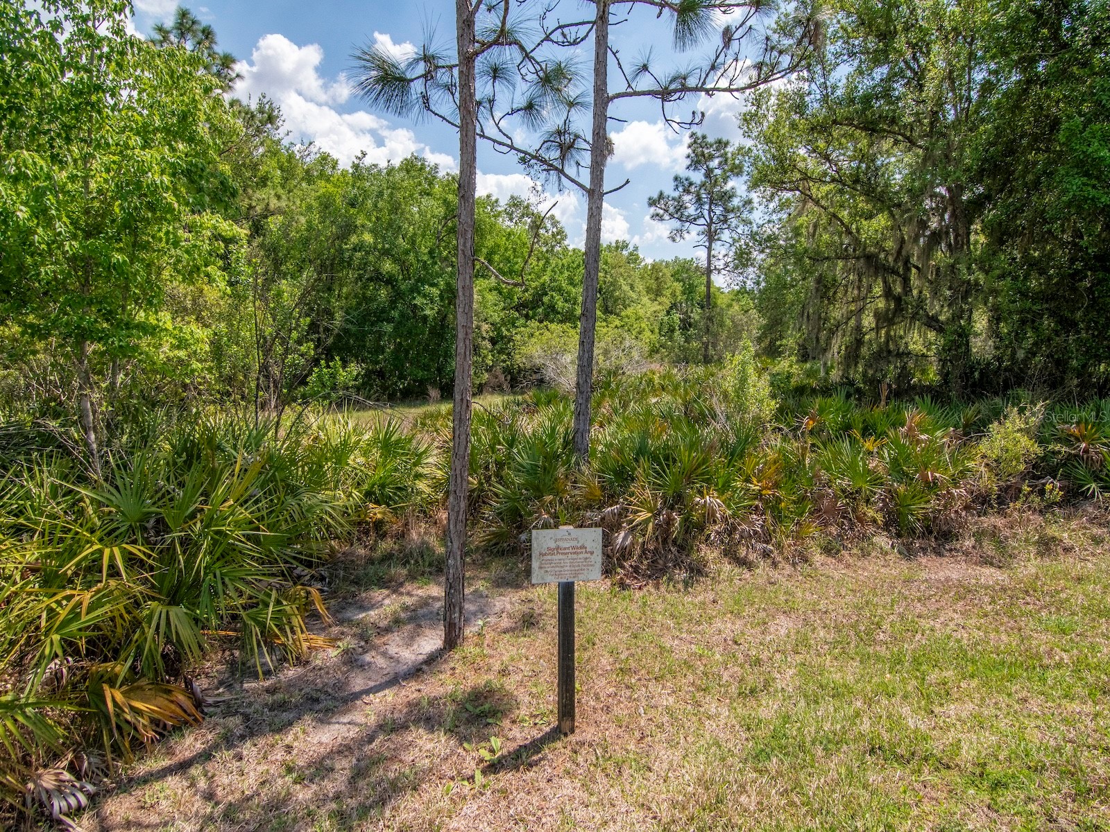20003 Umbria Hill Drive Tampa FL 33647 TB8488617 image43