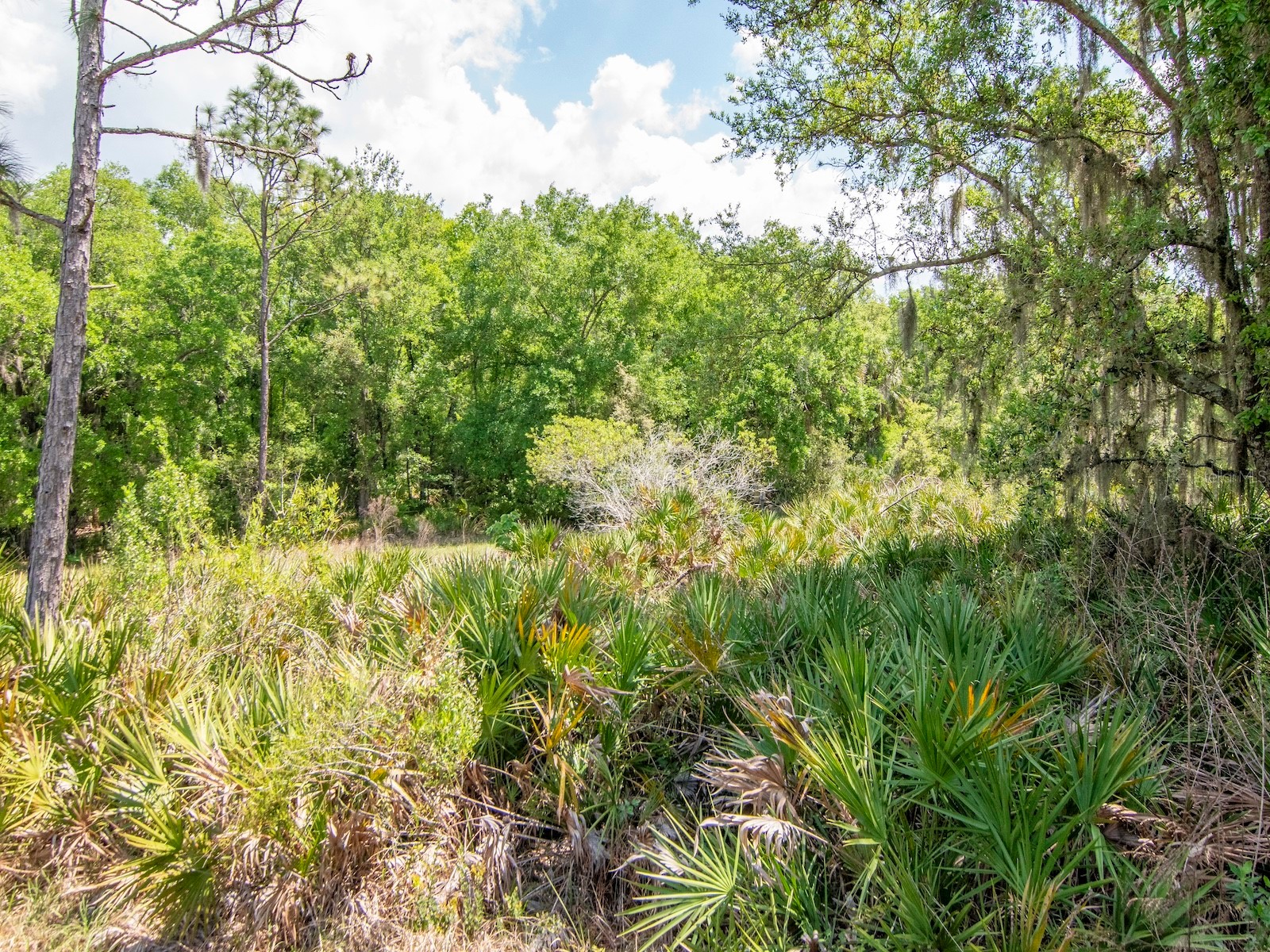 20003 Umbria Hill Drive Tampa FL 33647 TB8488617 image44