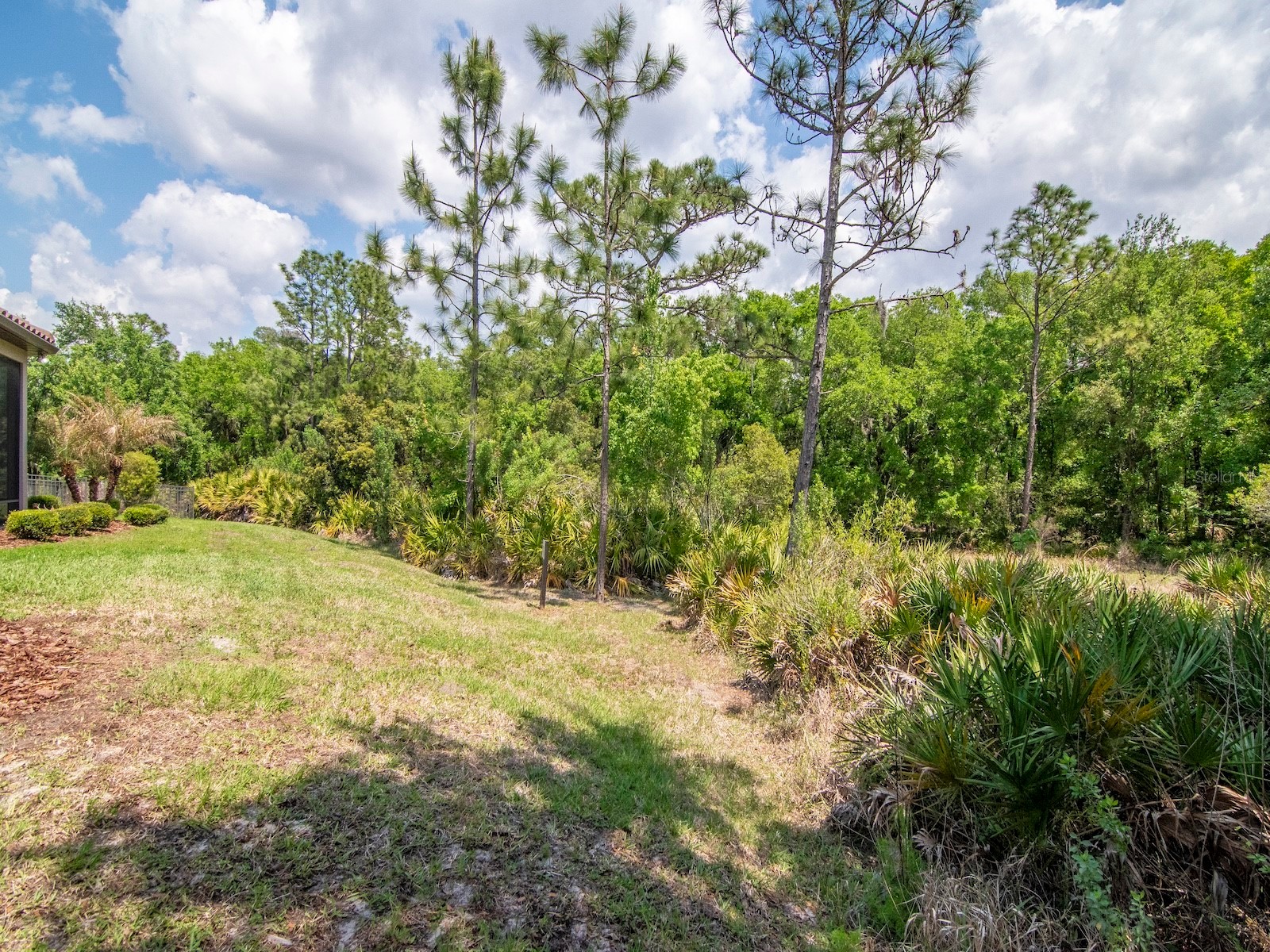 20003 Umbria Hill Drive Tampa FL 33647 TB8488617 image45