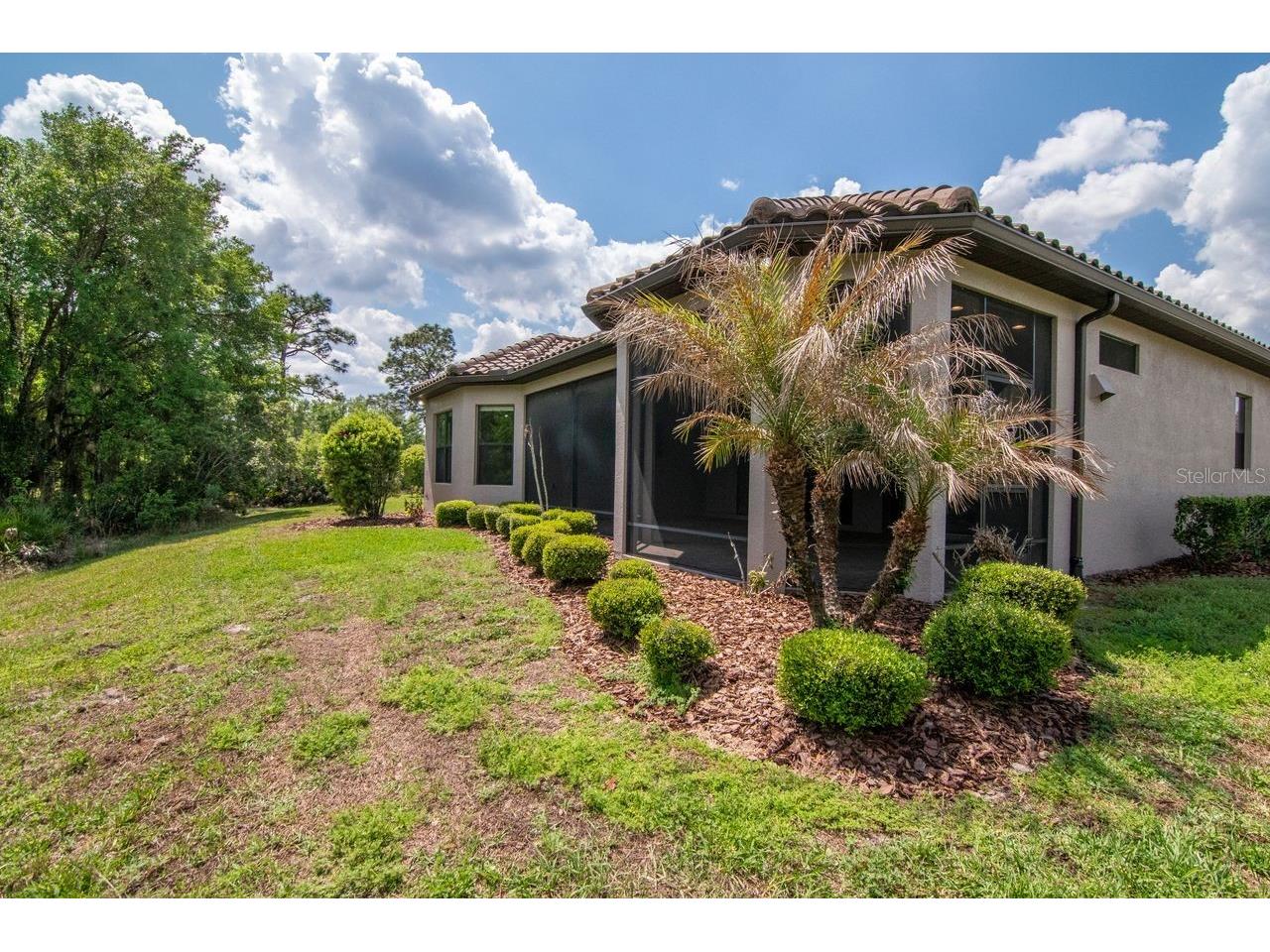 20003 Umbria Hill Drive Tampa FL 33647 TB8488617 image47
