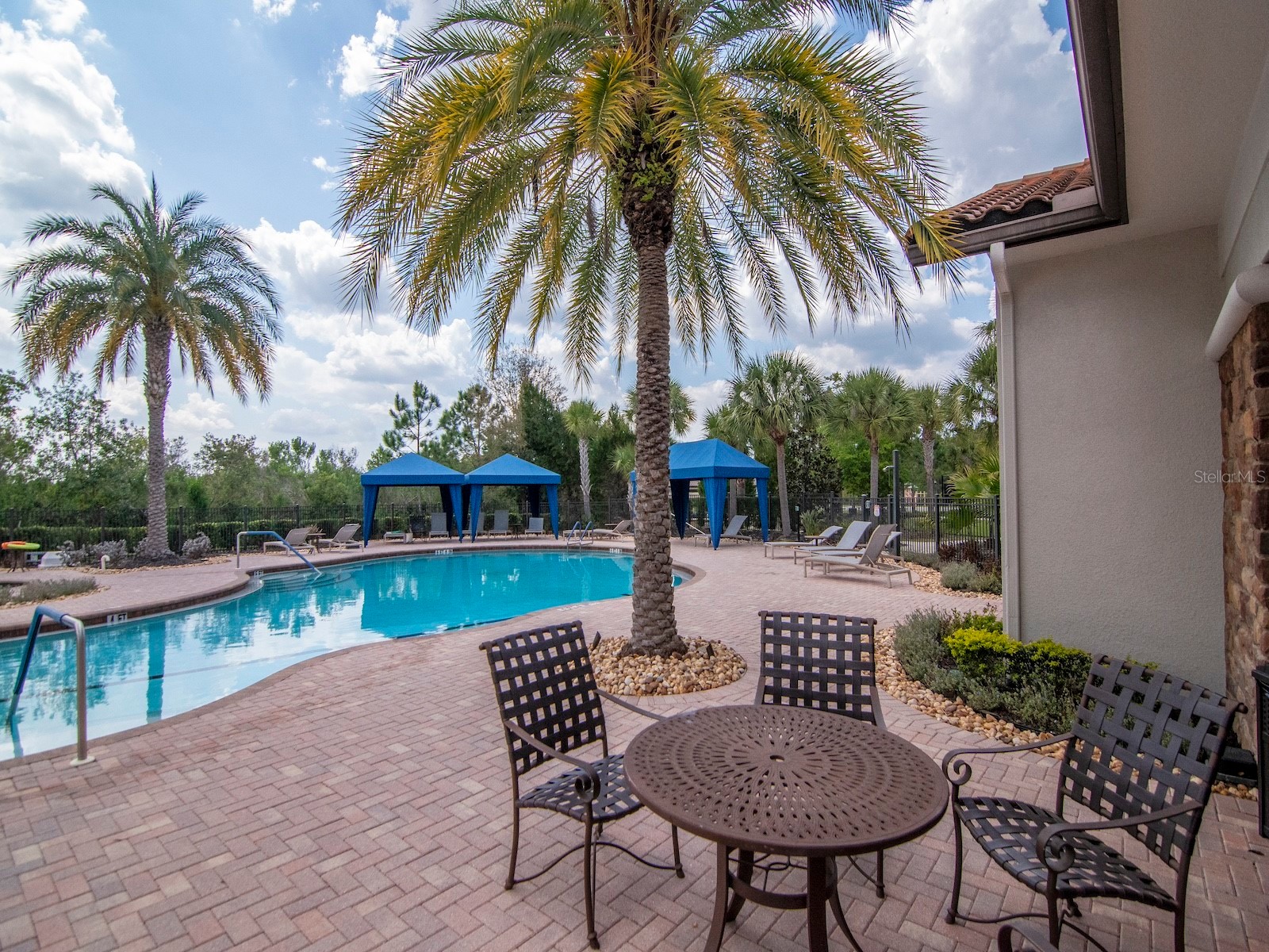 20003 Umbria Hill Drive Tampa FL 33647 TB8488617 image55