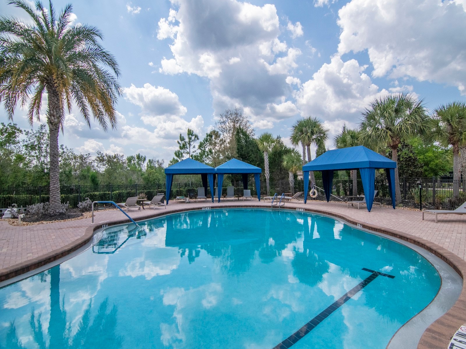 20003 Umbria Hill Drive Tampa FL 33647 TB8488617 image56