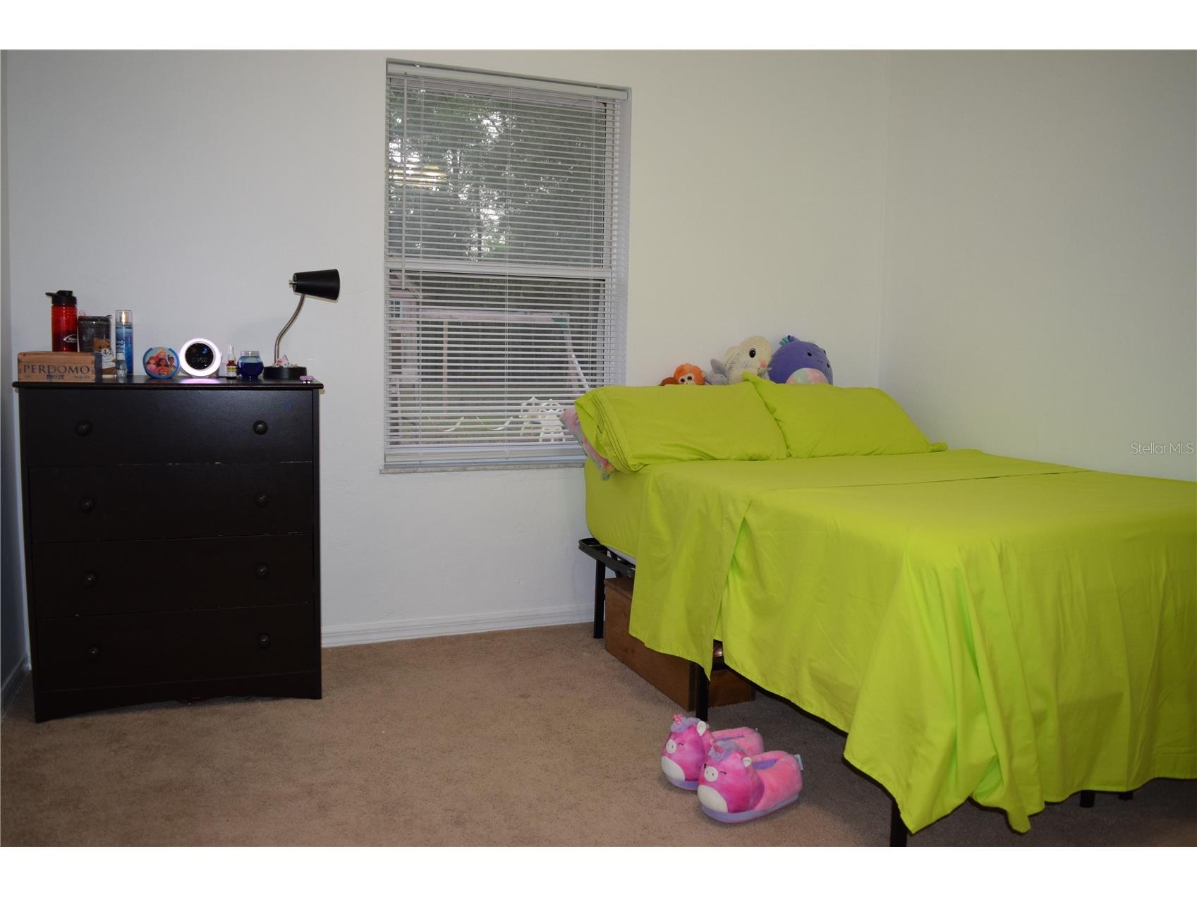 20004 NW 258th Drive High Springs FL 32643 GC540293 image29