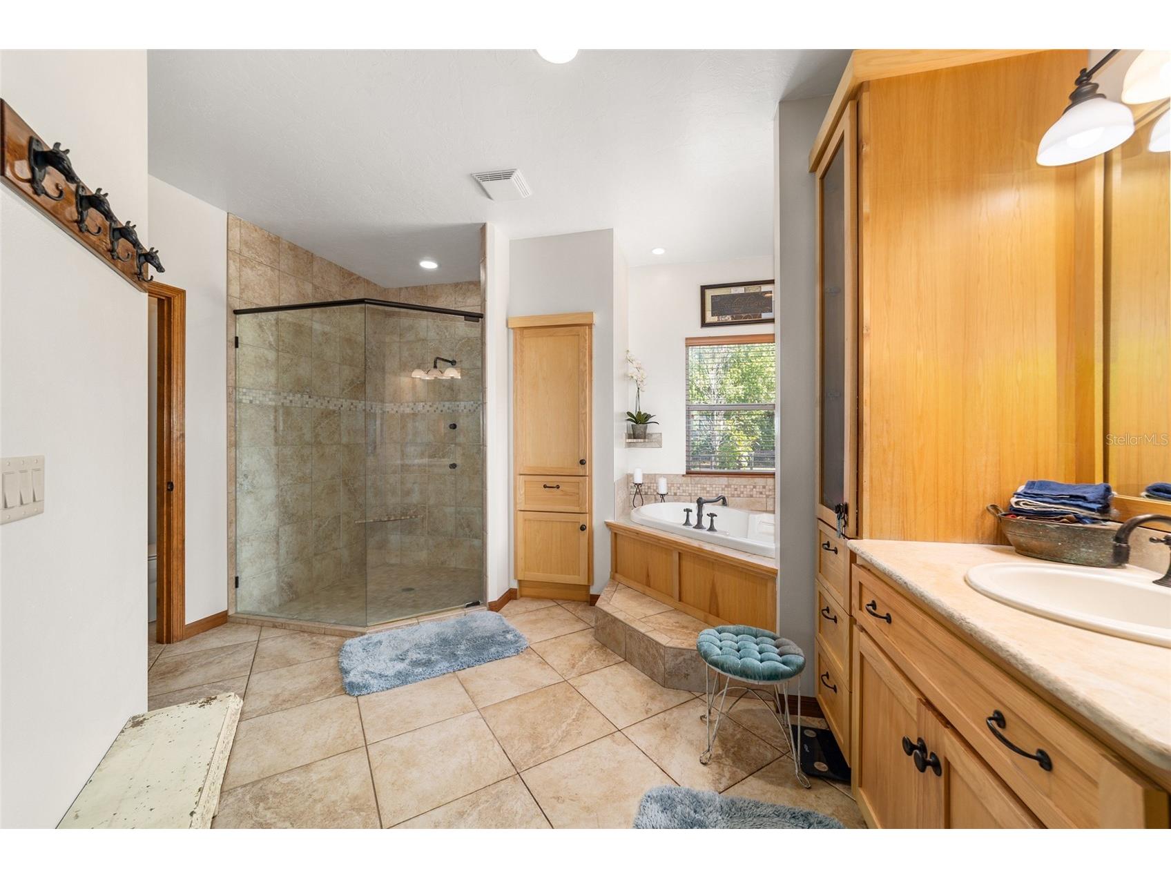 20005 NW 135th Avenue Micanopy FL 32667 OM722396 image27