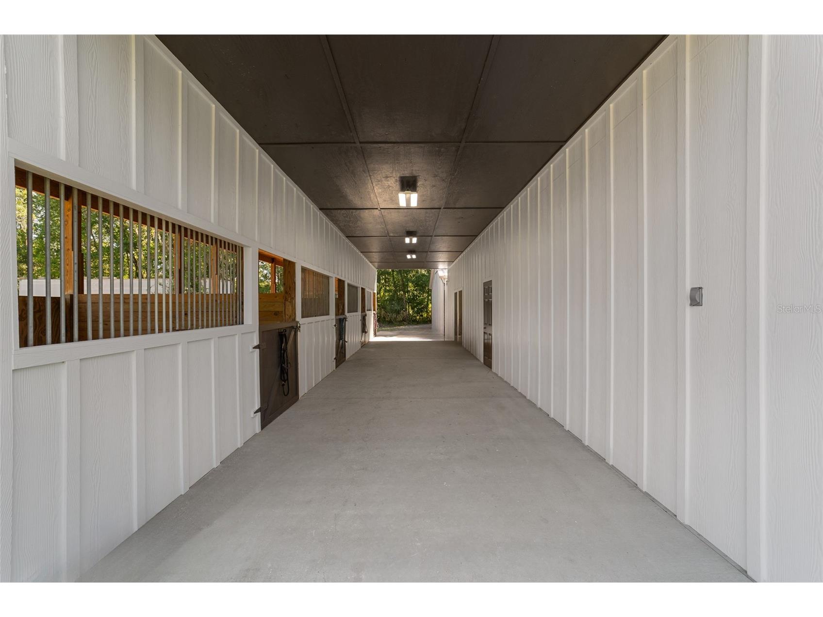 20005 NW 135th Avenue Micanopy FL 32667 OM722396 image65