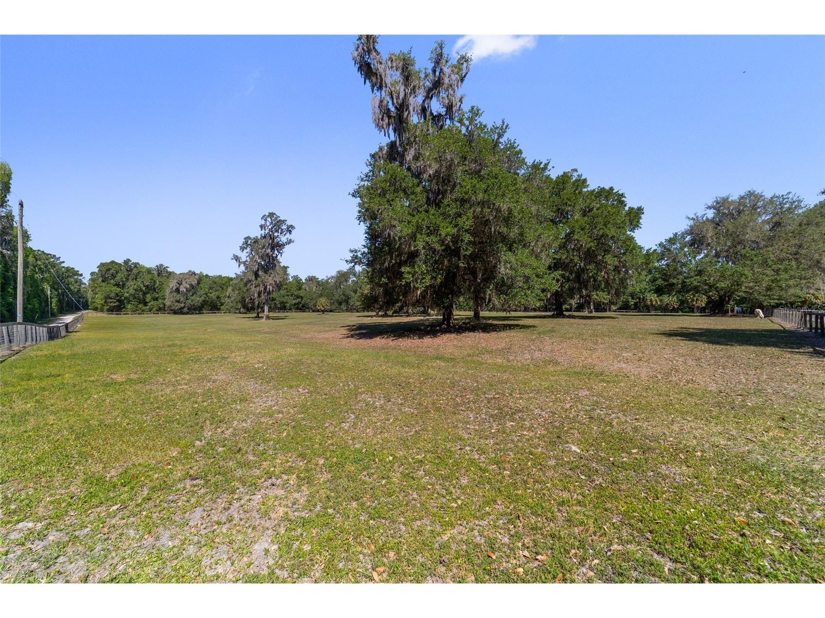 20005 NW 135th Avenue Micanopy FL 32667 OM722396 image84