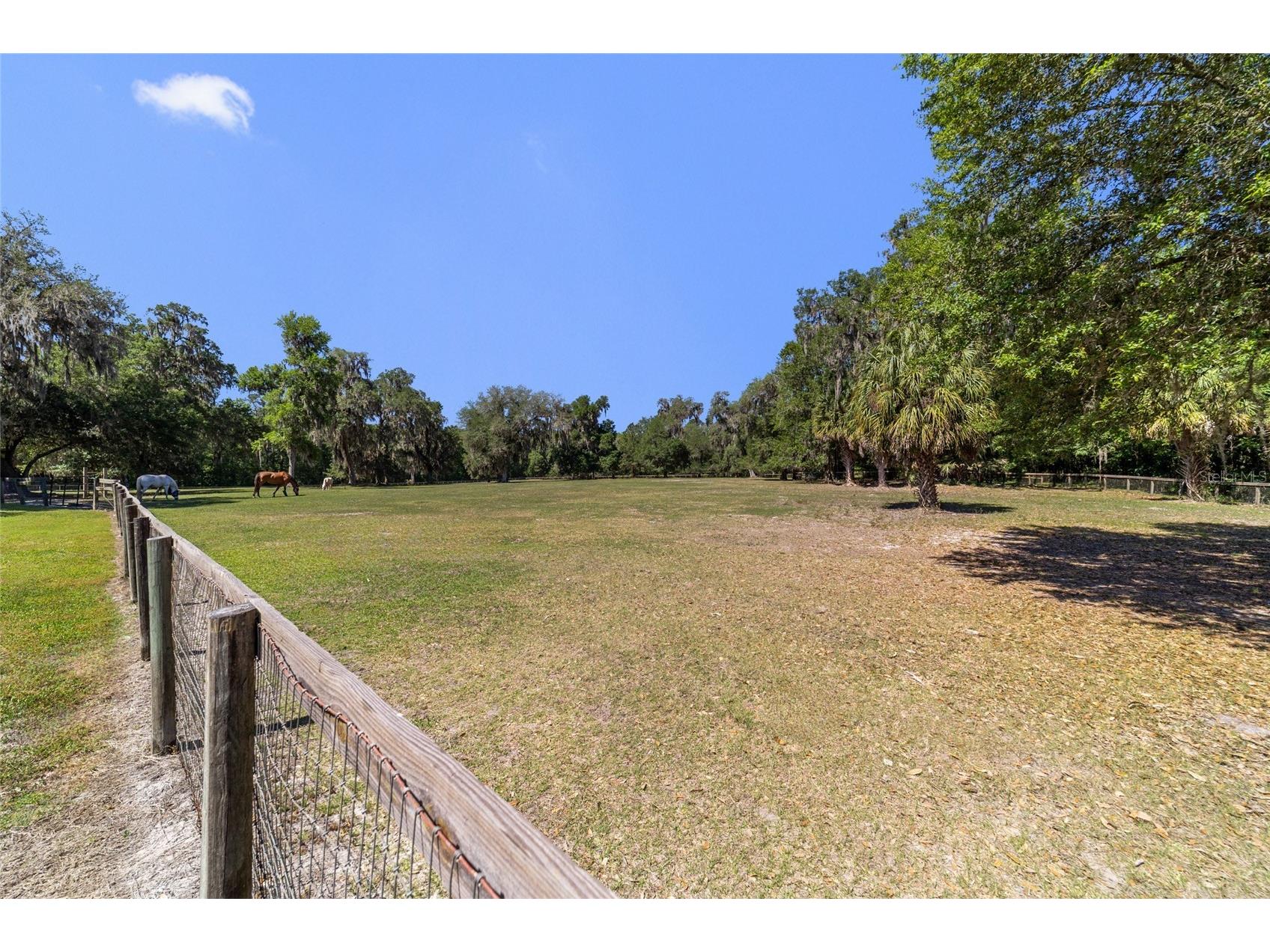 20005 NW 135th Avenue Micanopy FL 32667 OM722396 image86
