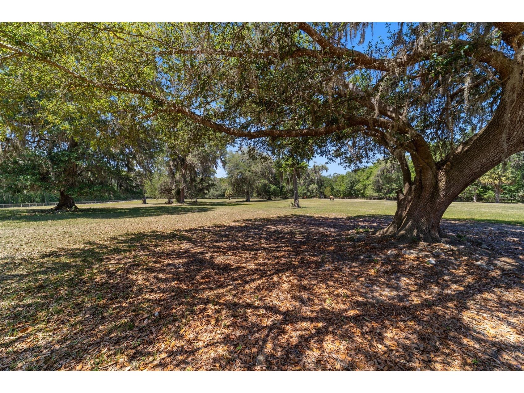 20005 NW 135th Avenue Micanopy FL 32667 OM722396 image87