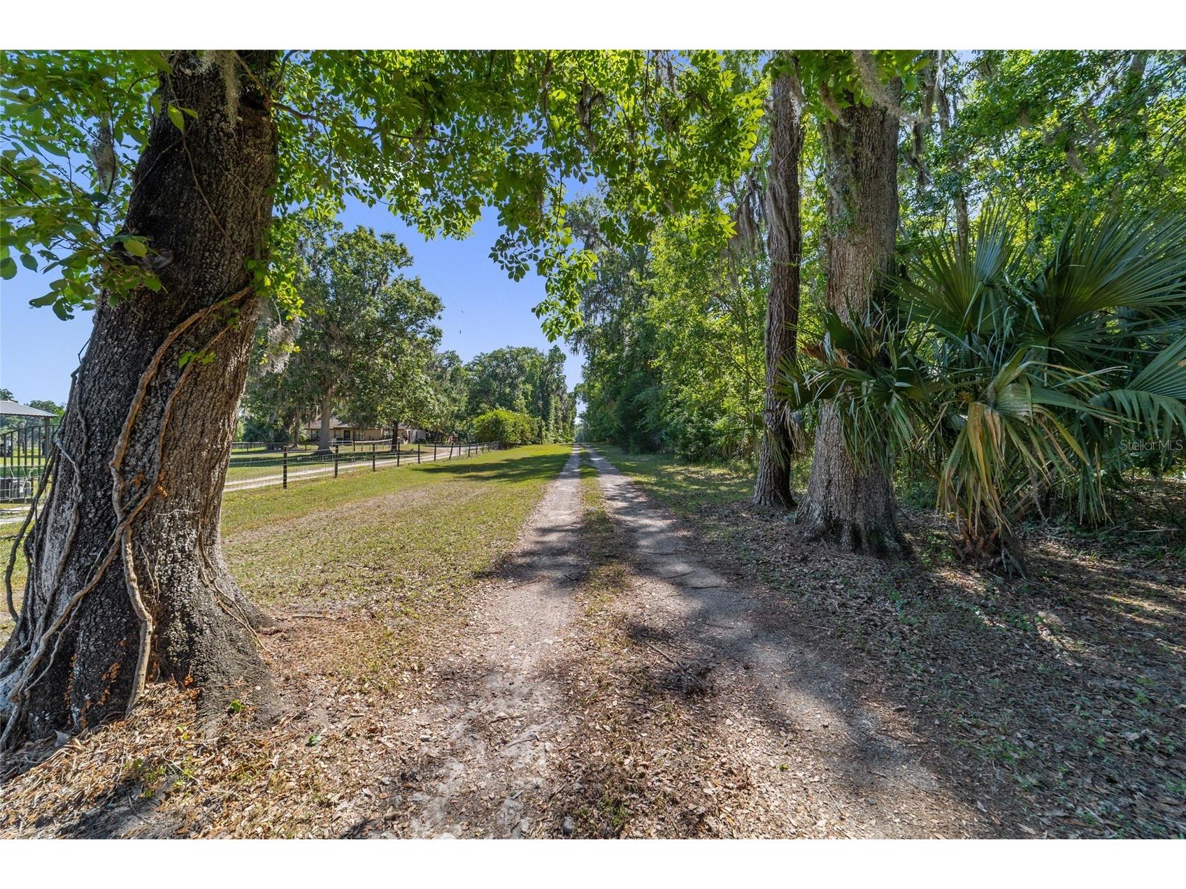 20005 NW 135th Avenue Micanopy FL 32667 OM722396 image90