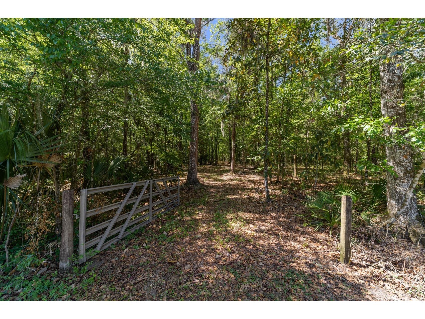 20005 NW 135th Avenue Micanopy FL 32667 OM722396 image94