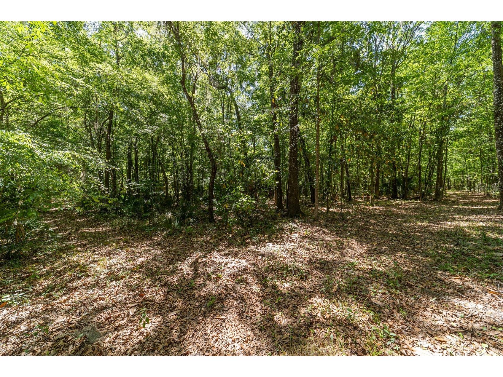 20005 NW 135th Avenue Micanopy FL 32667 OM722396 image95
