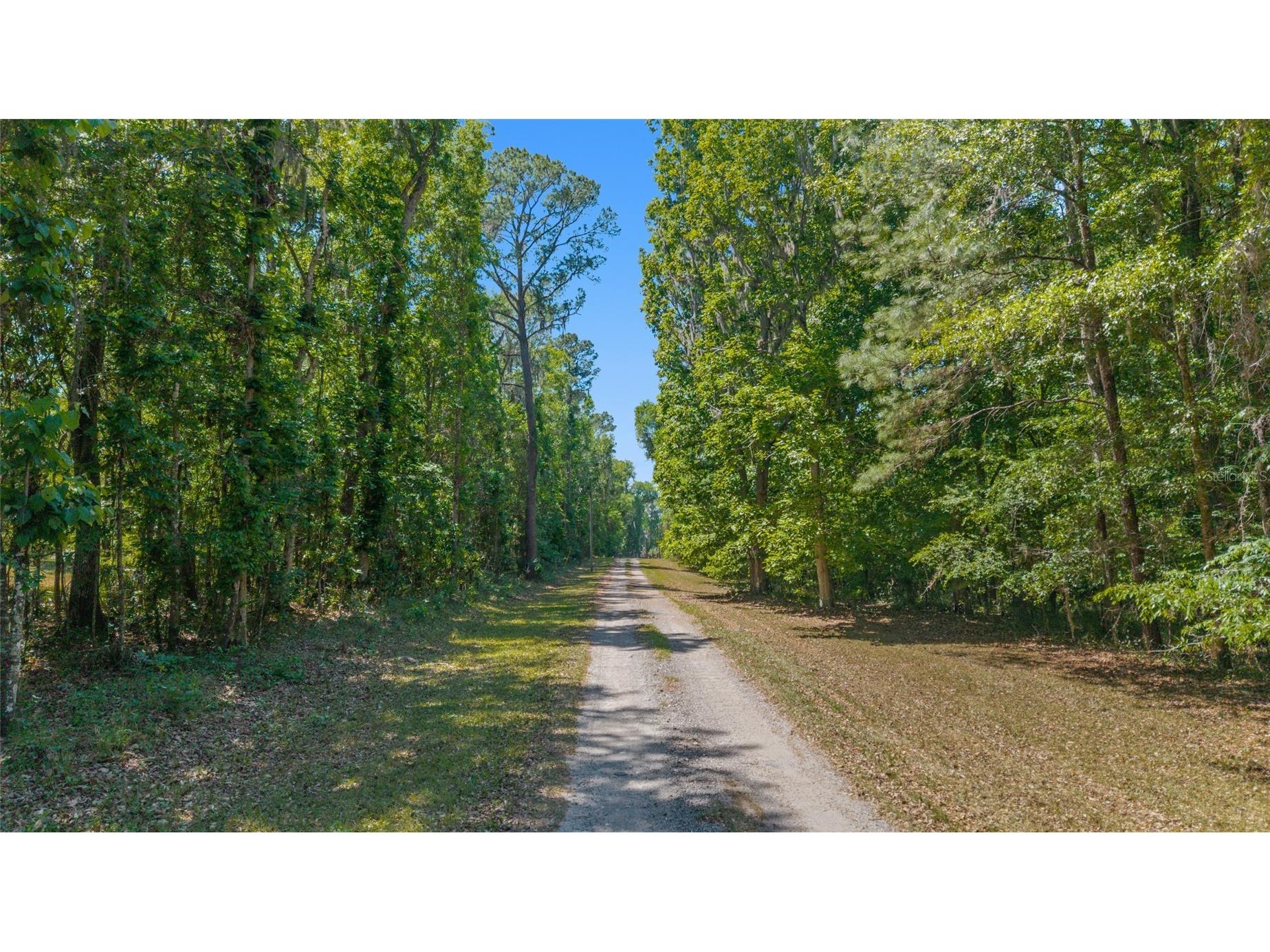 20005 NW 135th Avenue Micanopy FL 32667 OM722396 image96