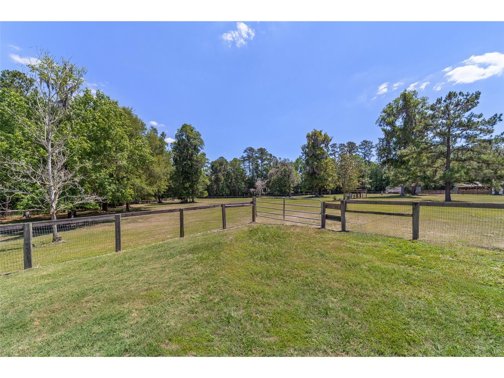 20005 NW 135th Avenue Micanopy FL 32667 OM722396 image97