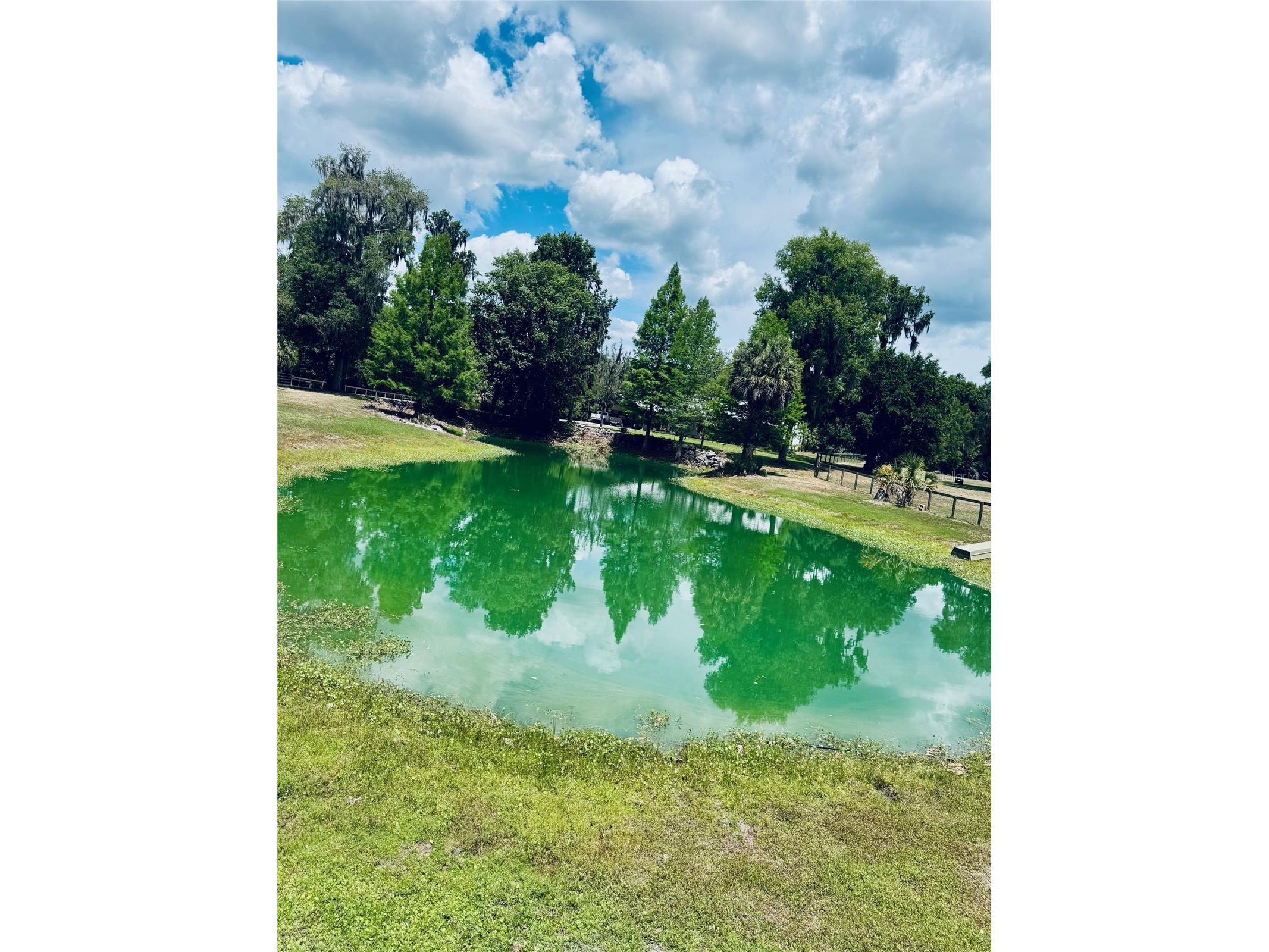 20005 NW 135th Avenue Micanopy FL 32667 OM722396 image98
