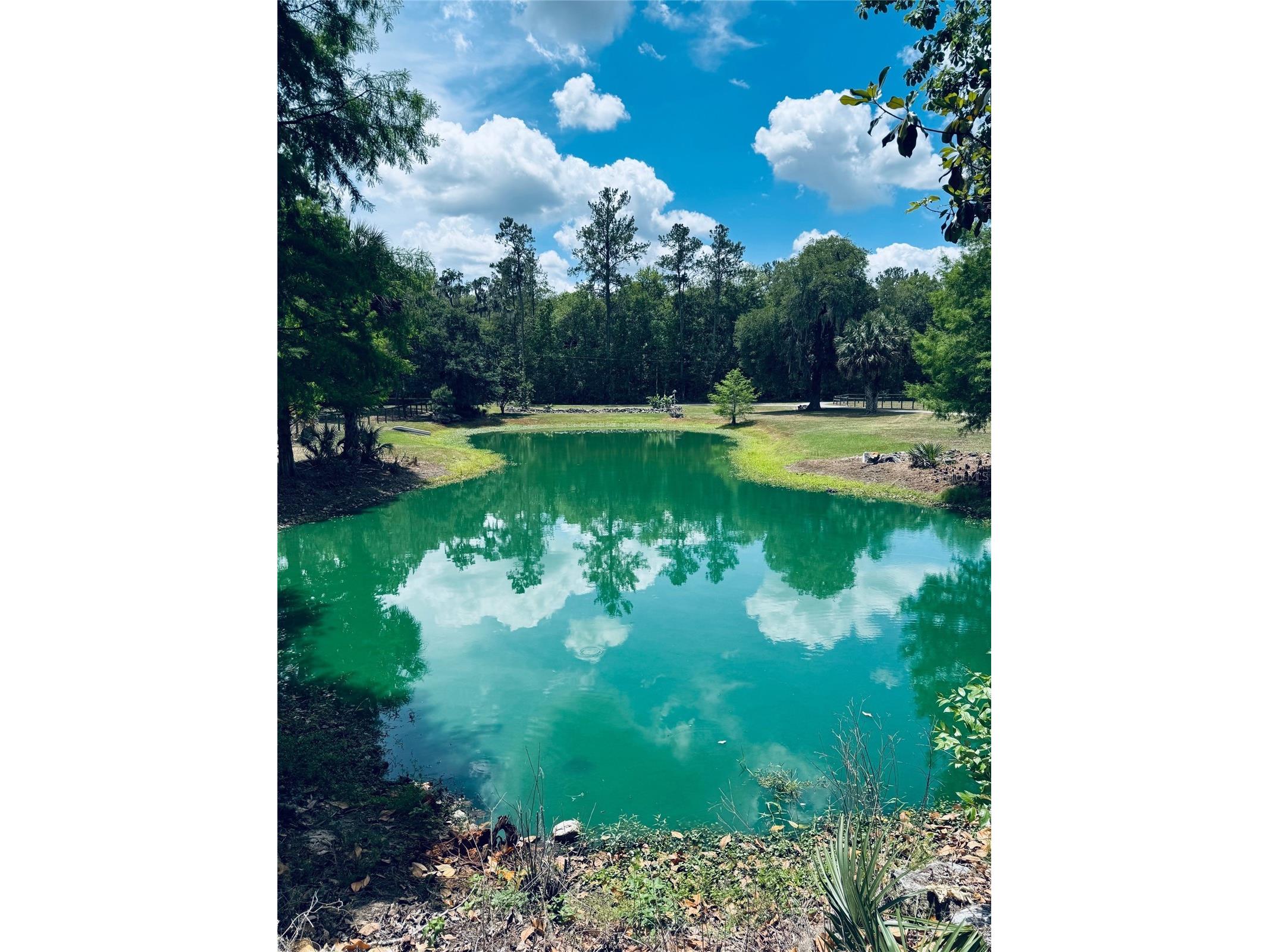 20005 NW 135th Avenue Micanopy FL 32667 OM722396 image99