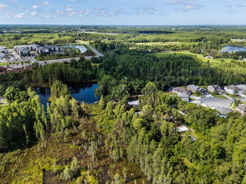 20007 Betel Palm Lane Land O Lakes FL 34638 TB8401467 image1