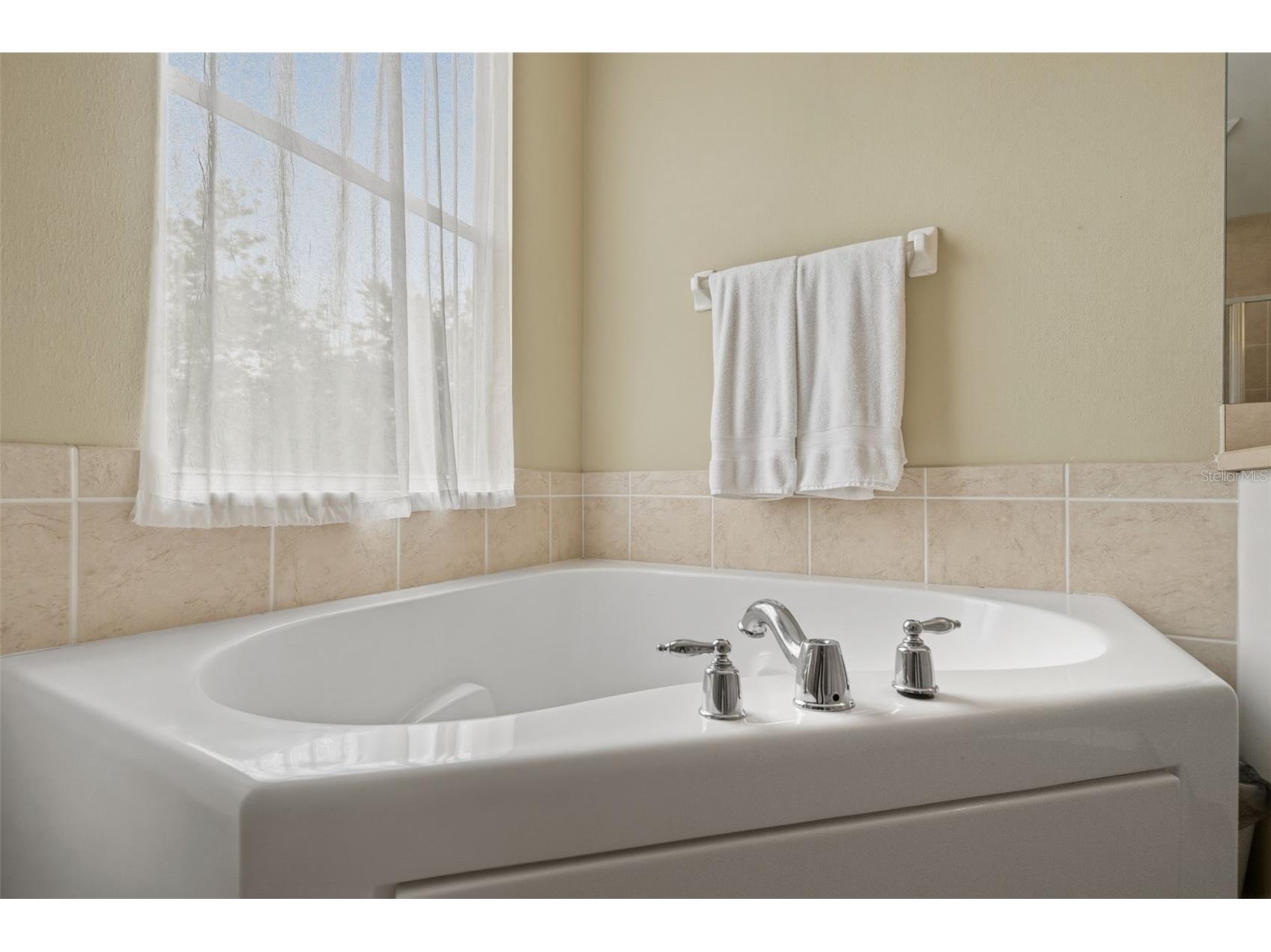 20008 Bluff Oak Boulevard Tampa FL 33647 TB8515791 image32